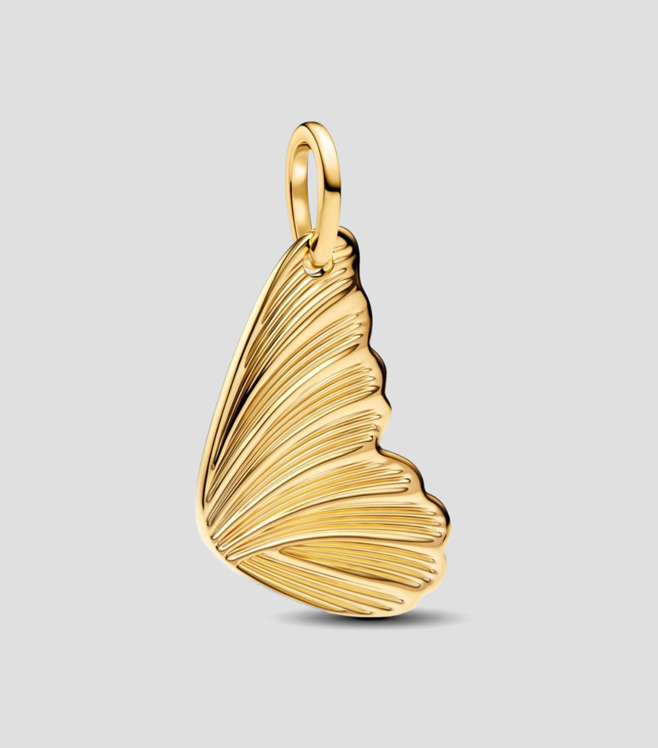 Charm ala de mariposa Mujer