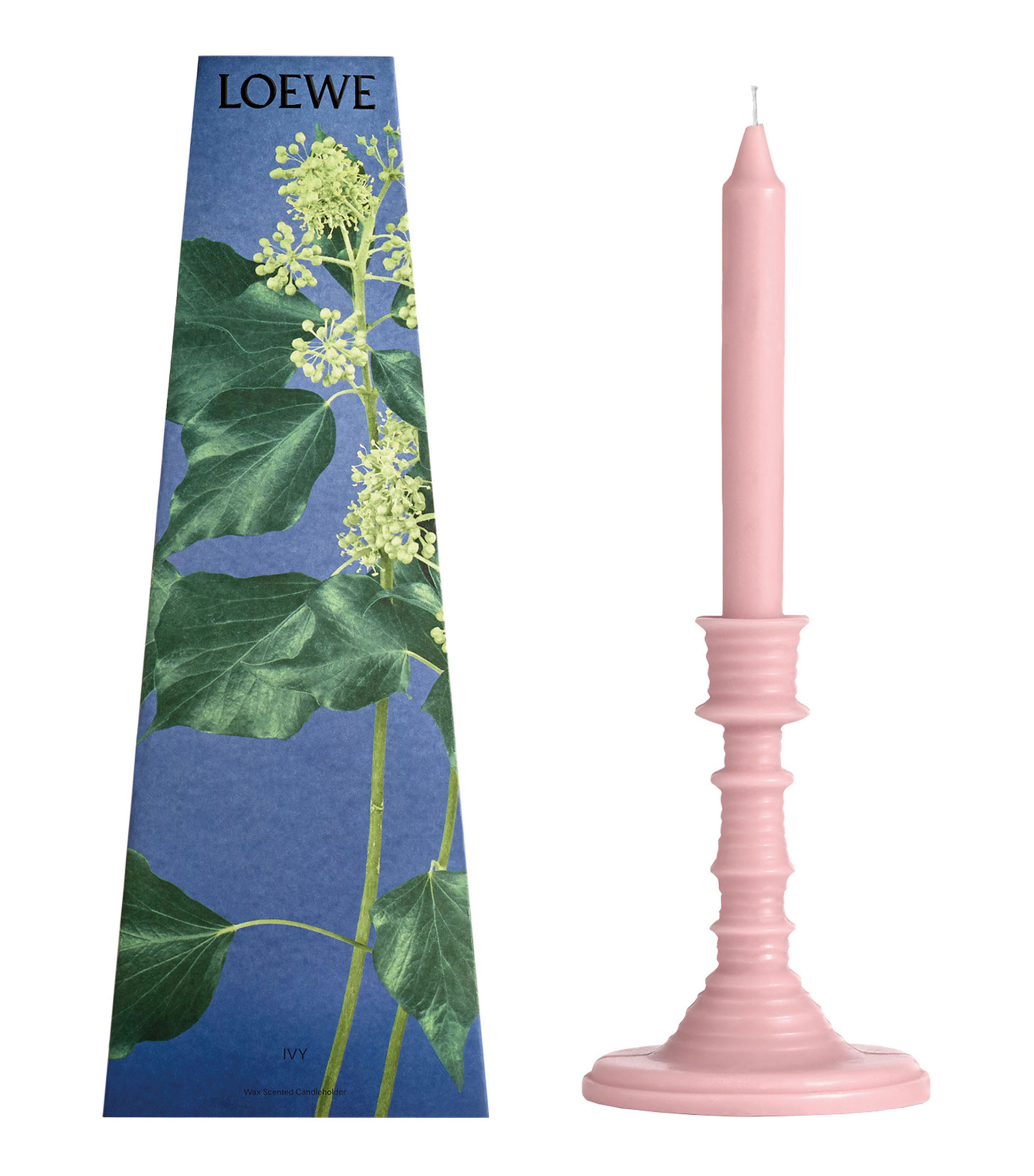 LOEWE HS IVY WAX CANDLEHOLDER