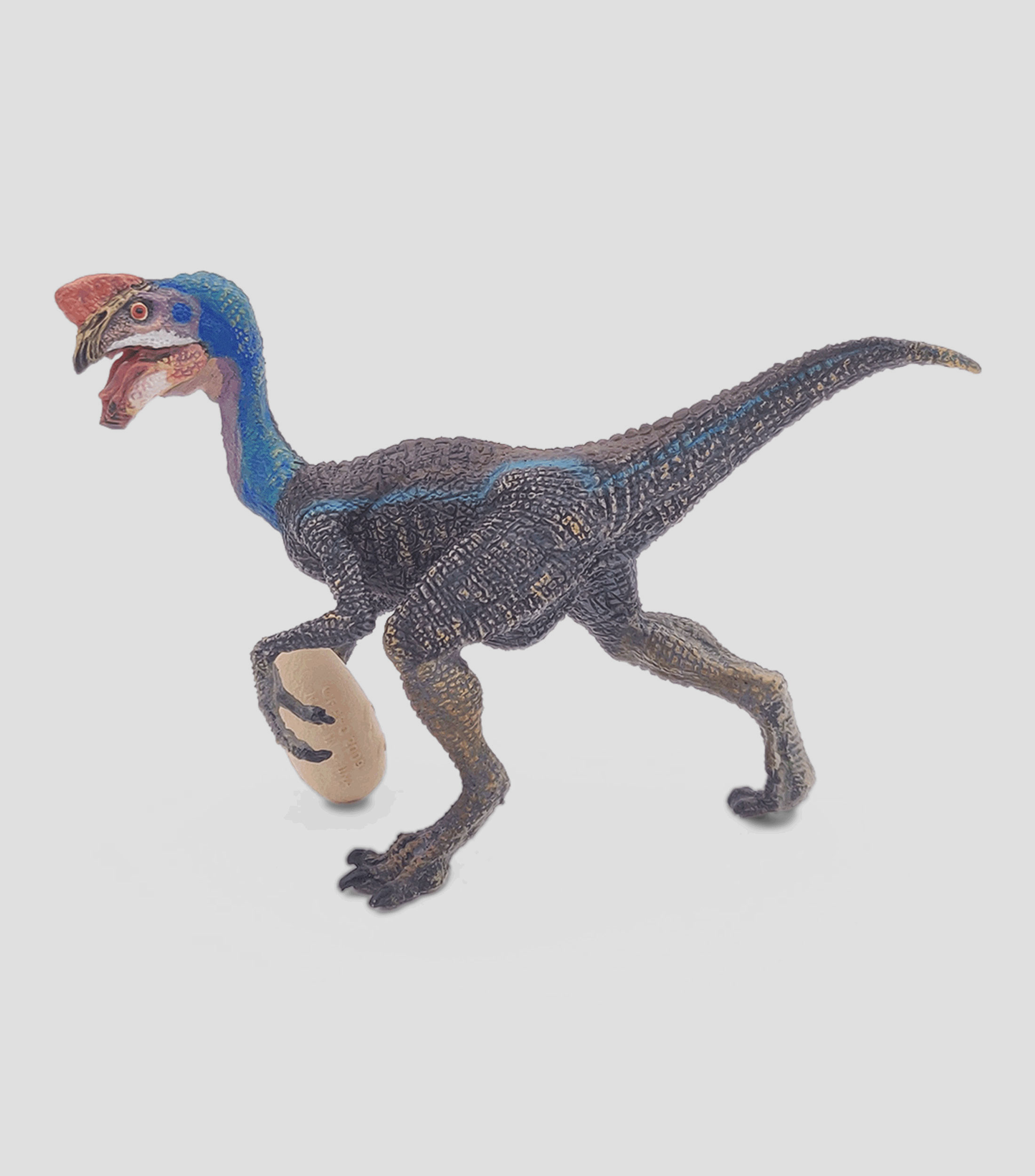 Oviraptor azul