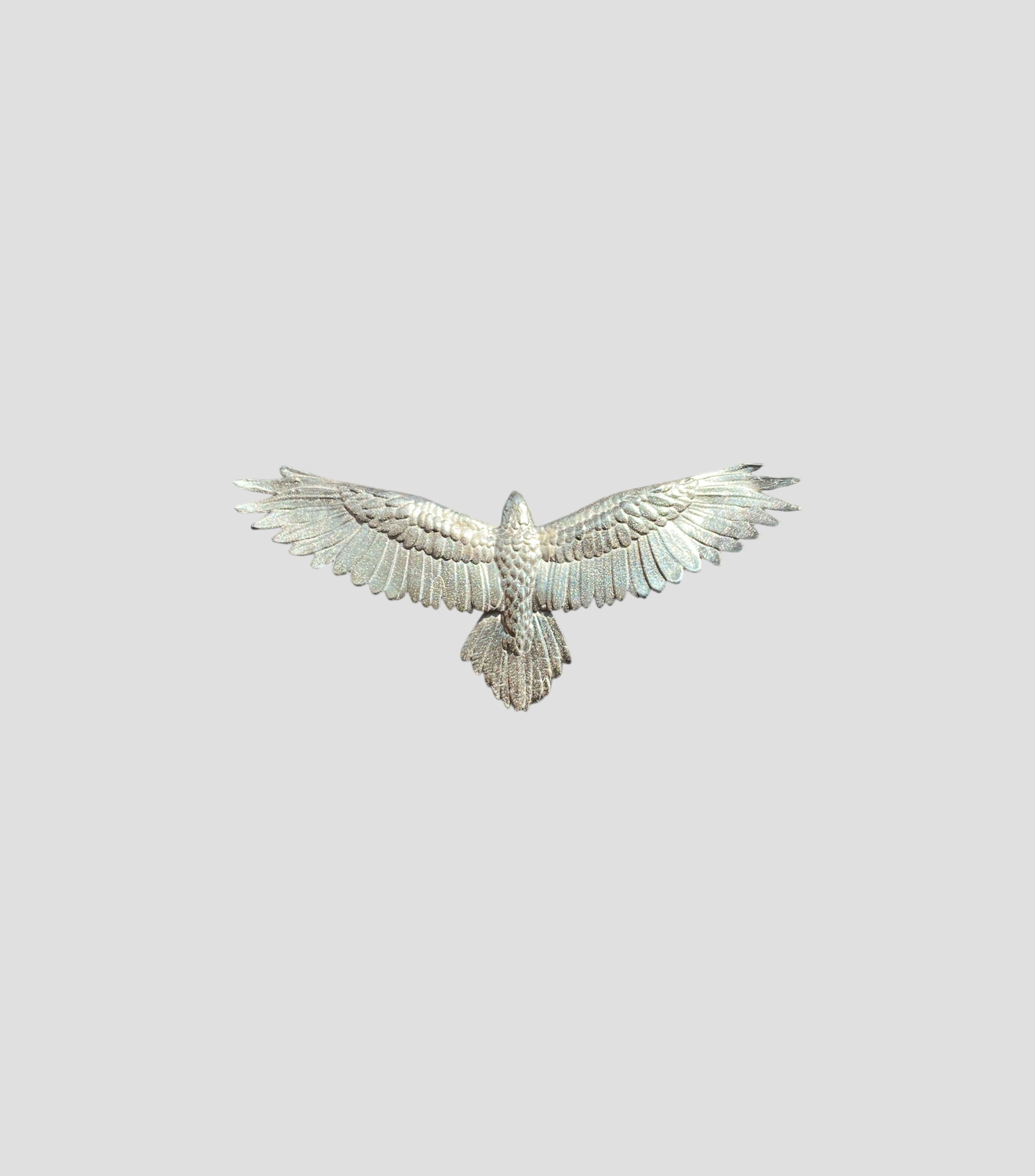 Dije Águila grande en plata Unisex