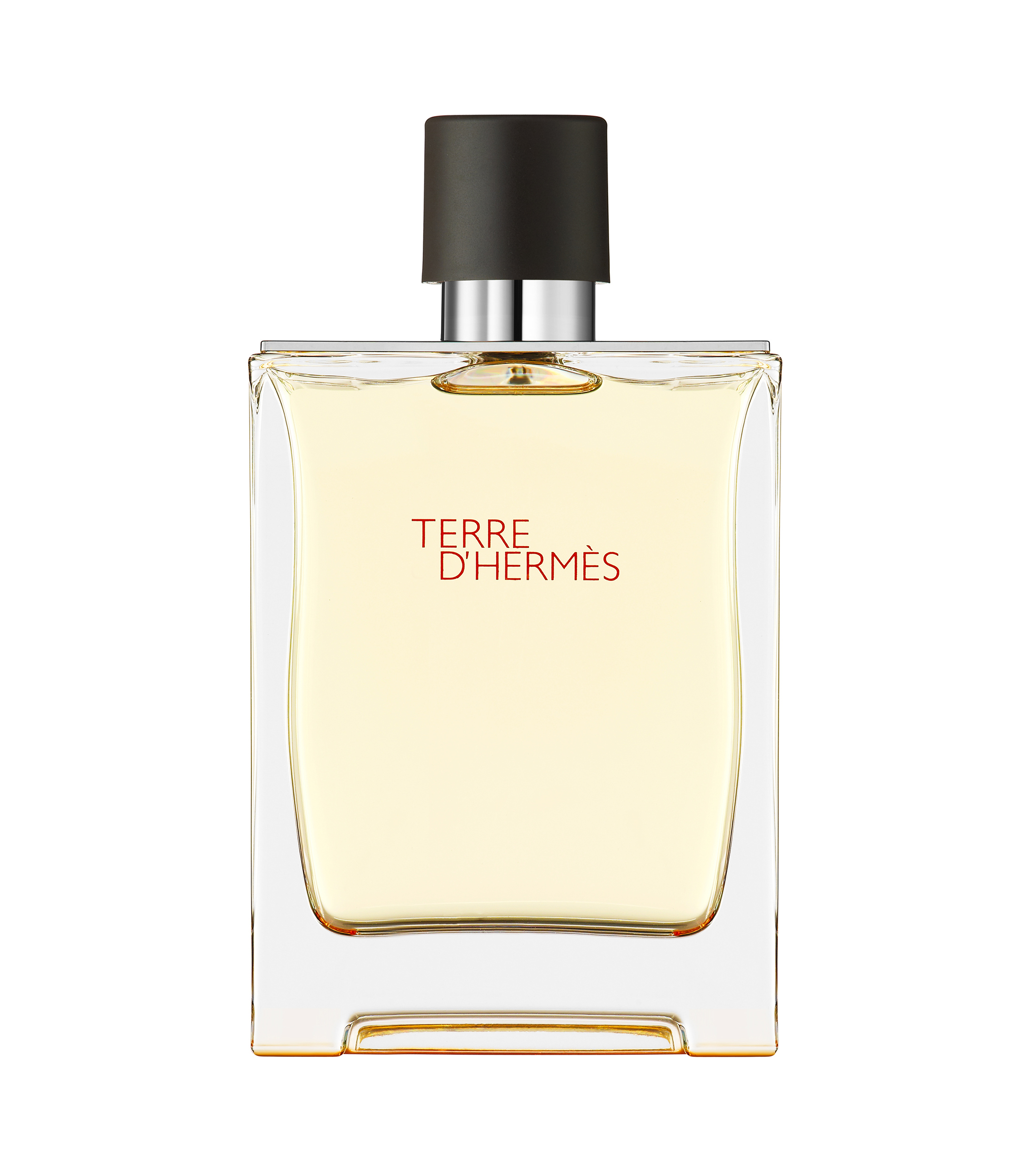 Hermès Perfume, Terre d'Hermès Eau de Toilette, 100 ml Hombre - El Palacio  de Hierro