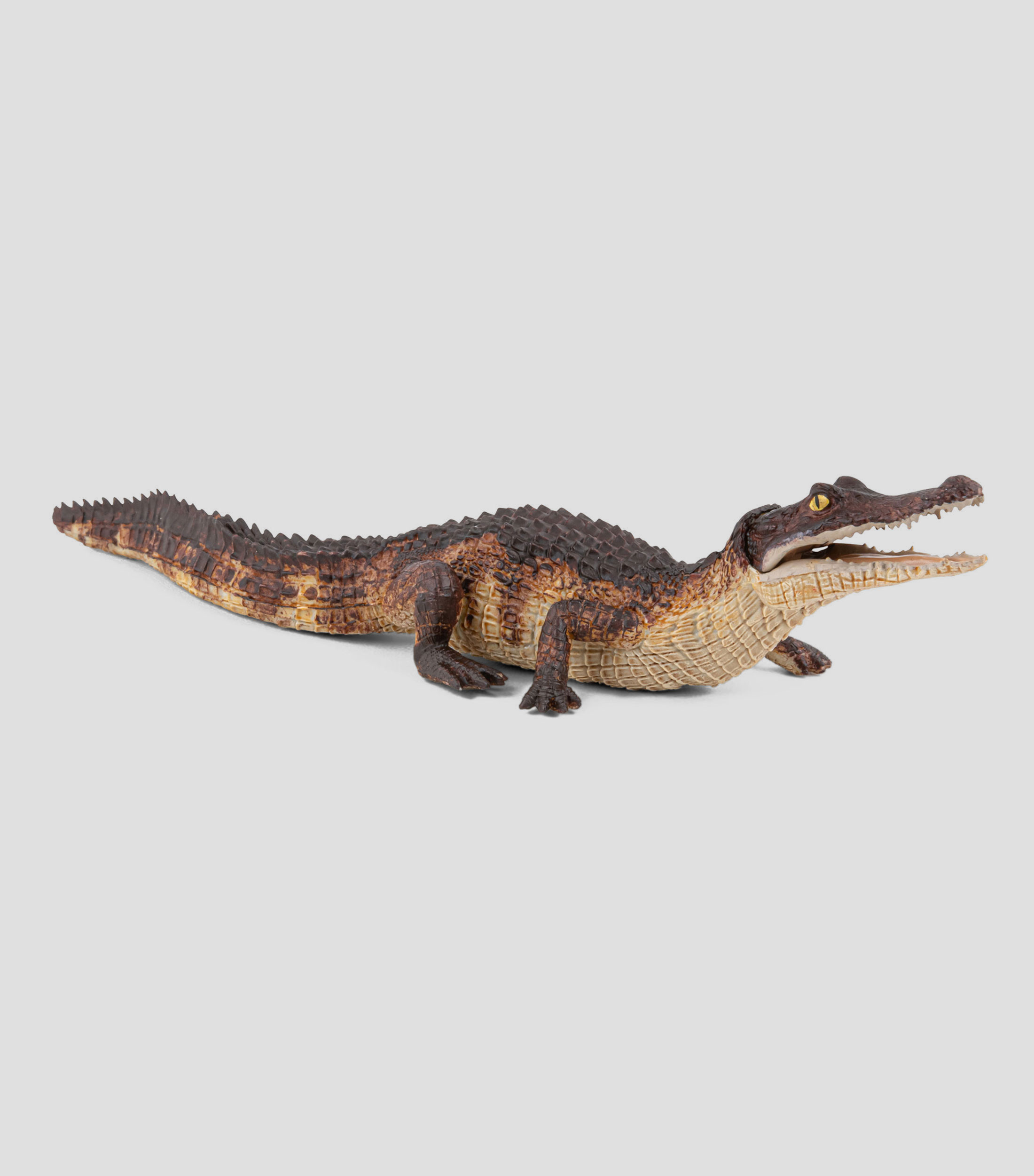 Figura de Caiman