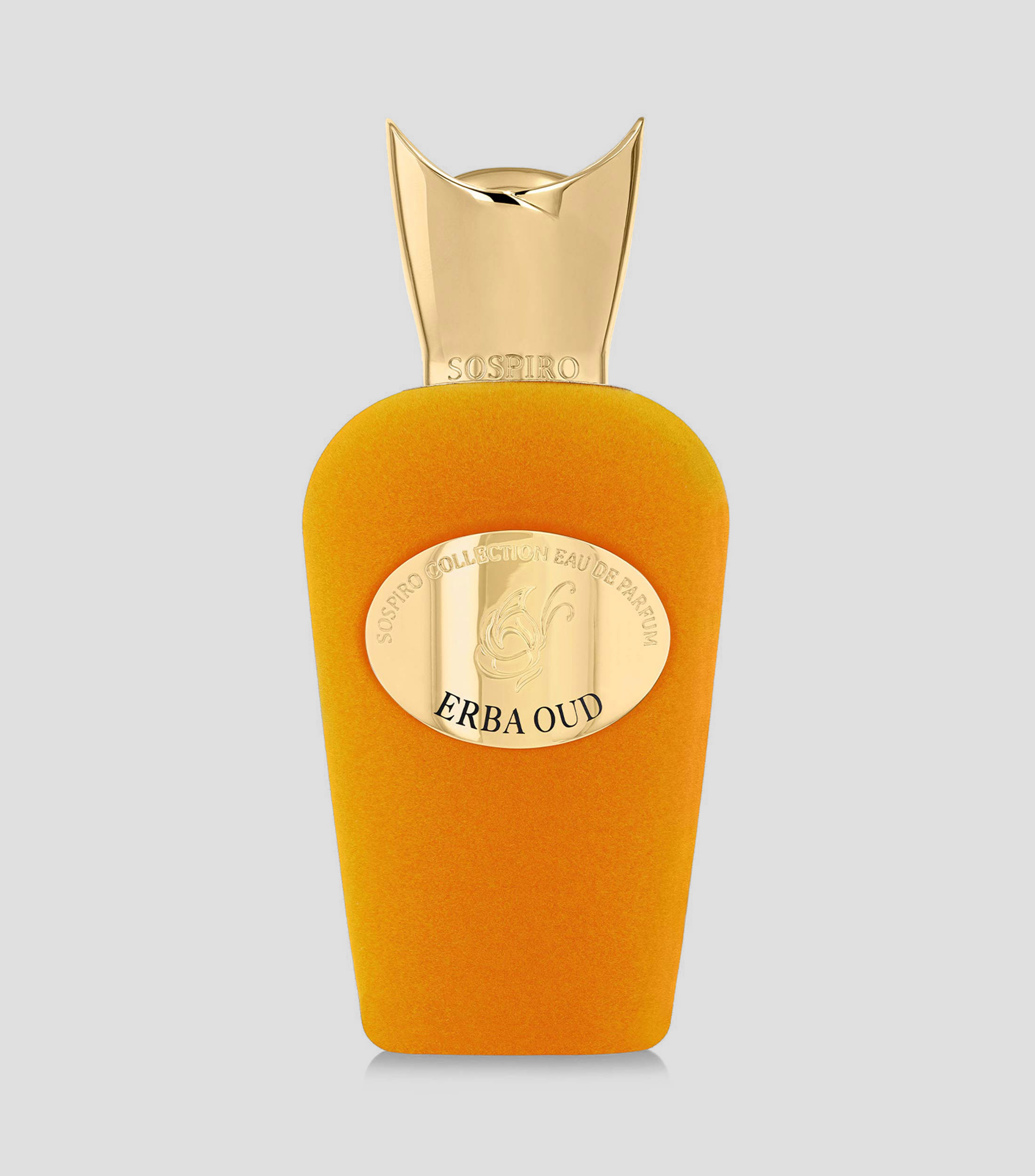 Perfume Erba Oud, Eau De Parfum 100 ml Unisex