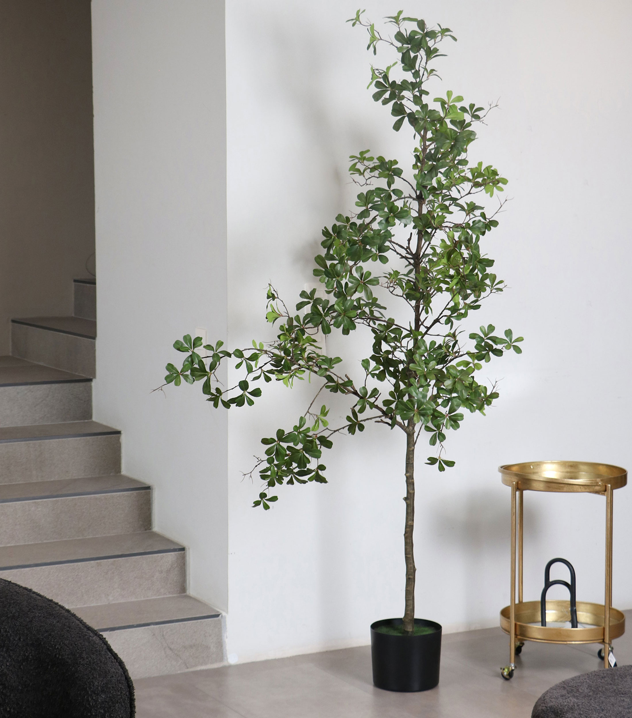 Árbol decorativo de Terminalia grande artificial