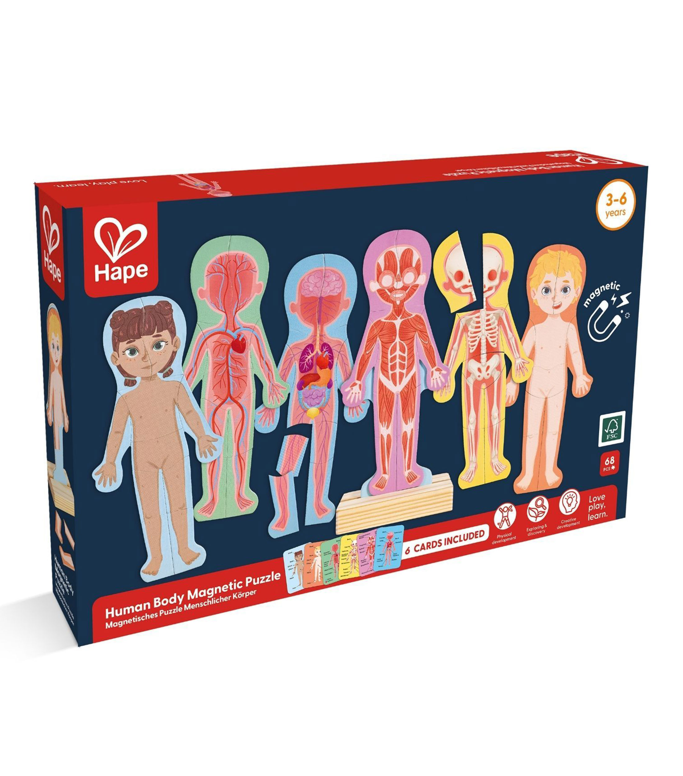 Rompecabezas Magnetico del Cuerpo Humano