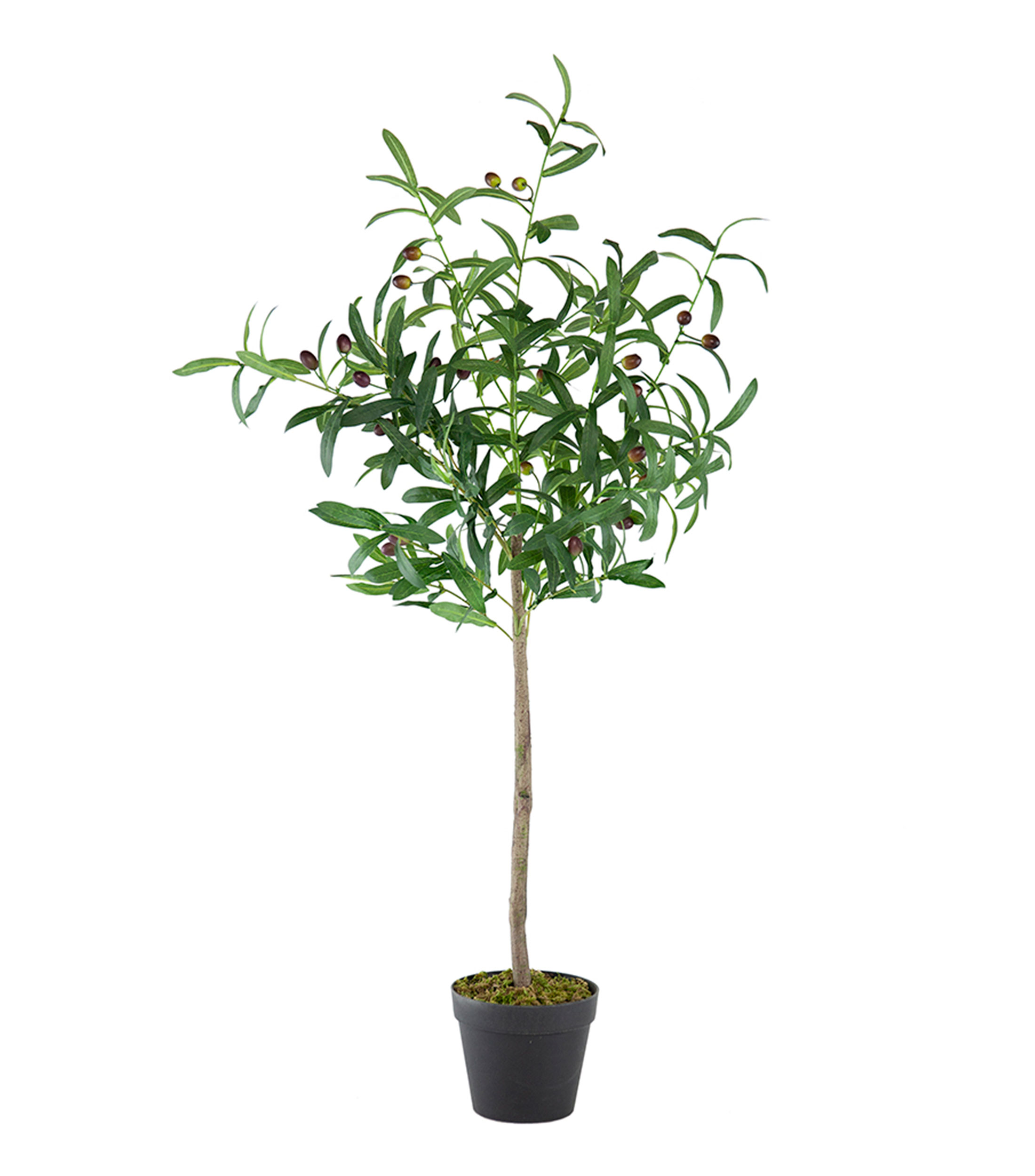 Árbol Olivo Fruta Artificial en plástico