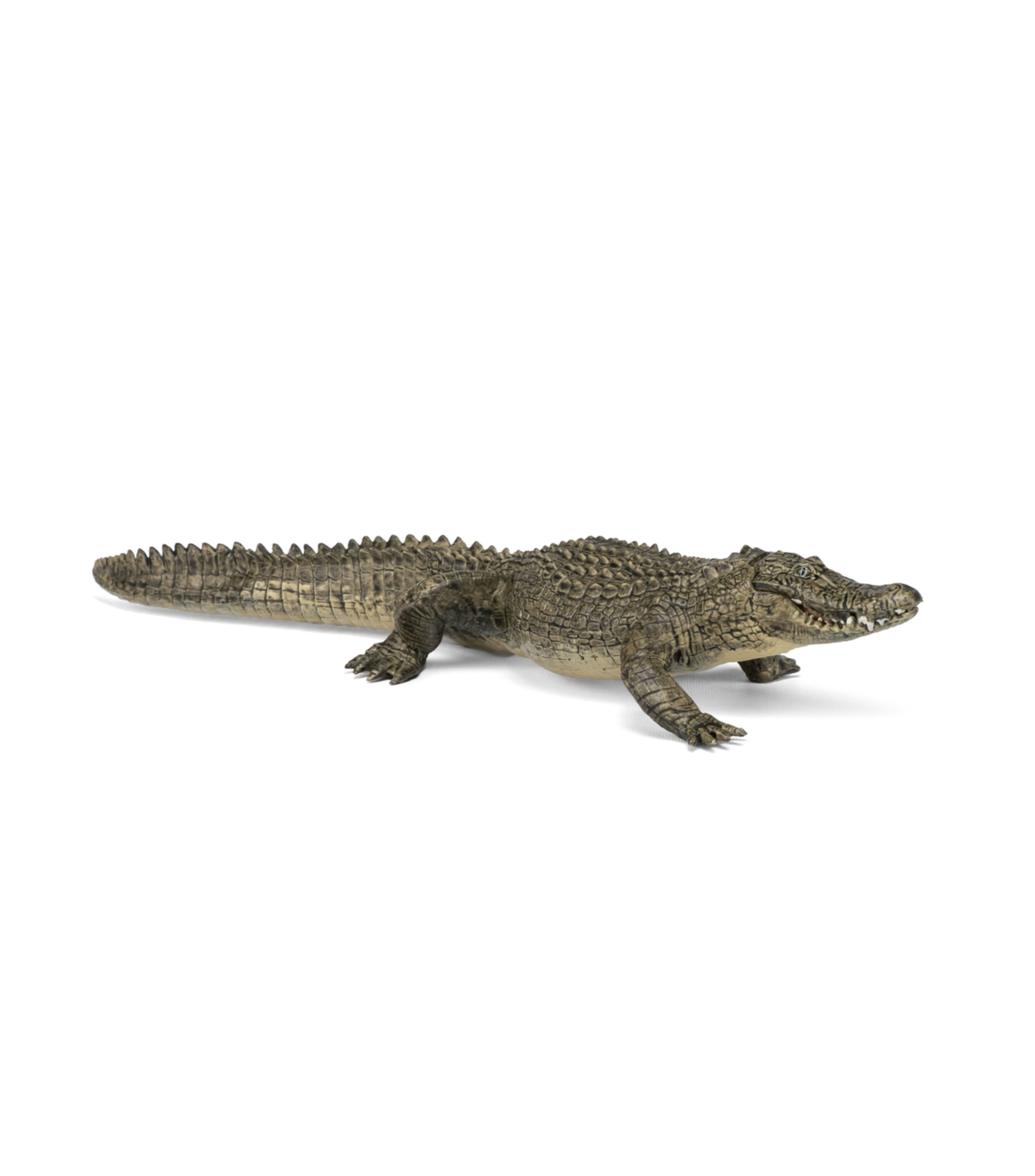 Figura Coleccionable Caimán