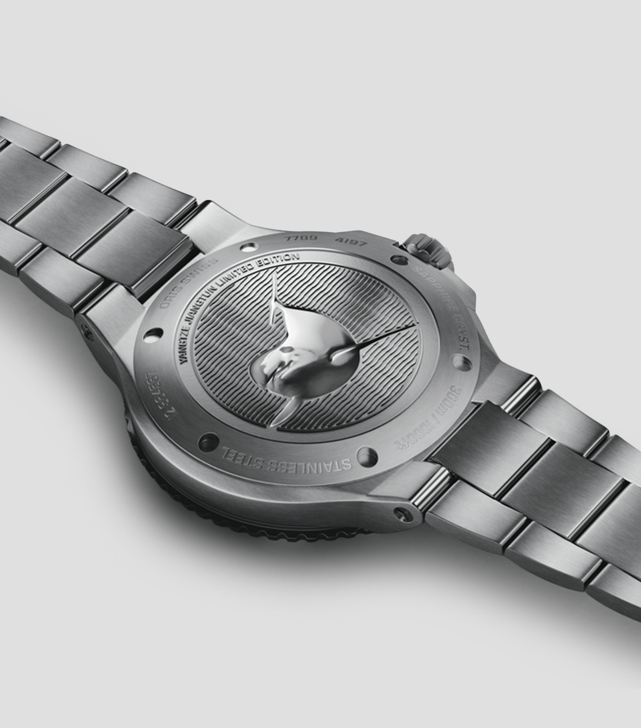 Reloj para Hombre Aquis Yangtze Jiangtun casual plateado/verde