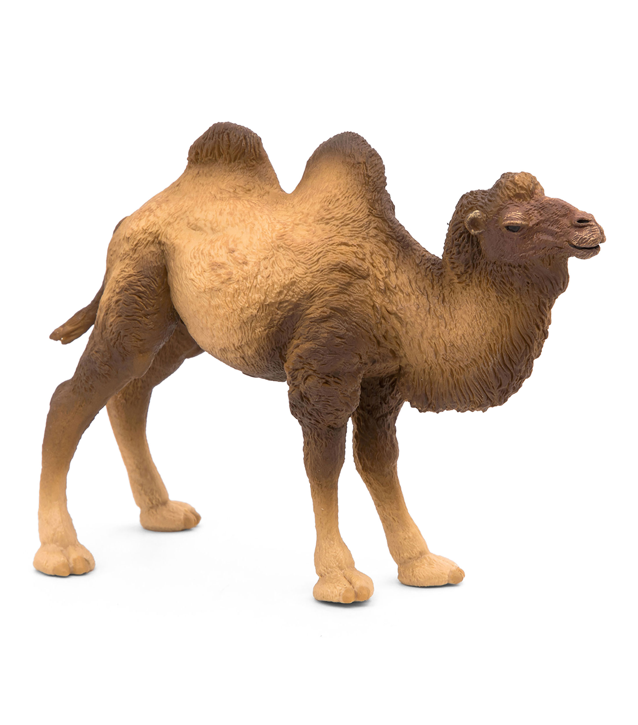 Figura Camello de Bactriane