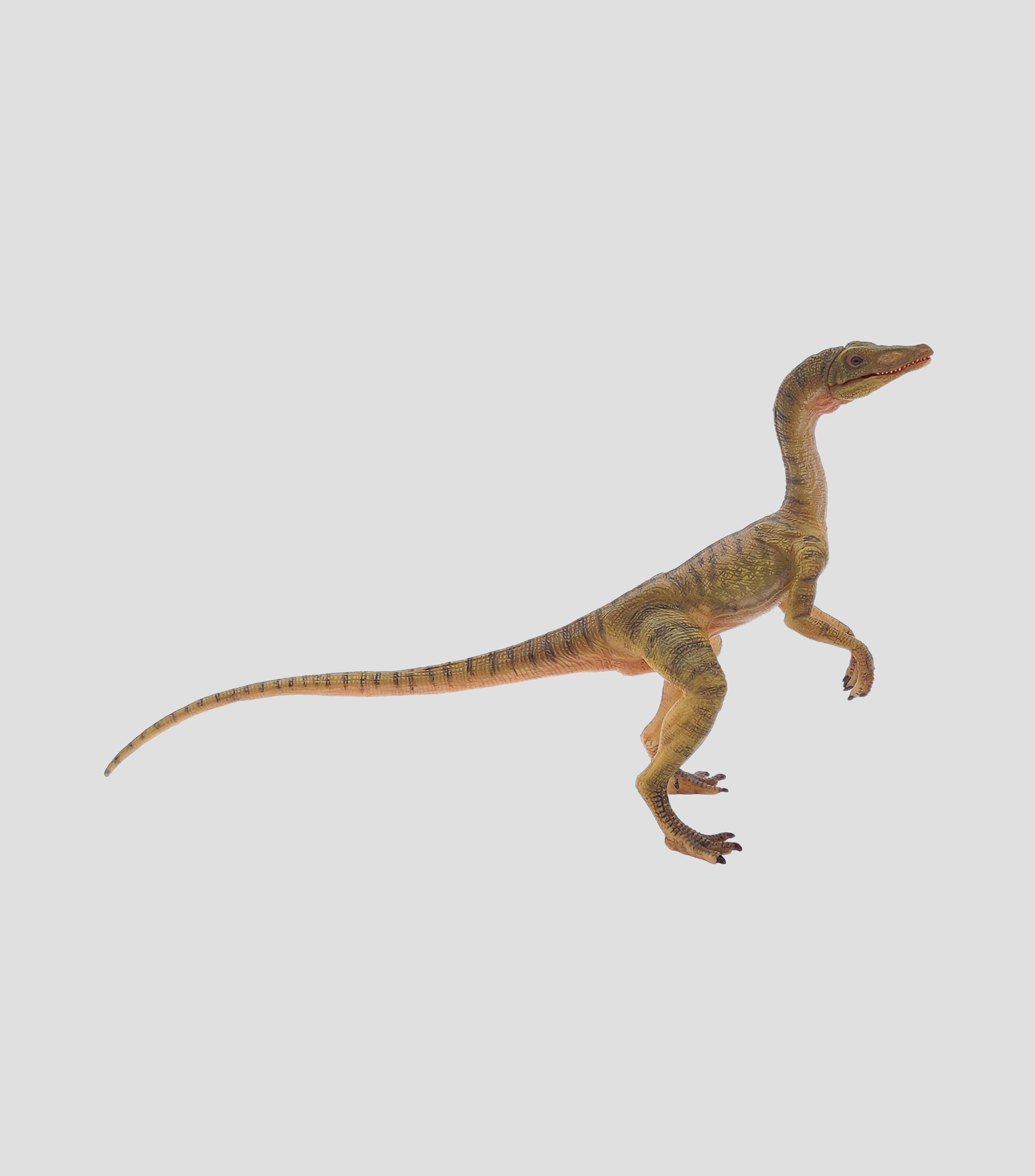 Compsognathus