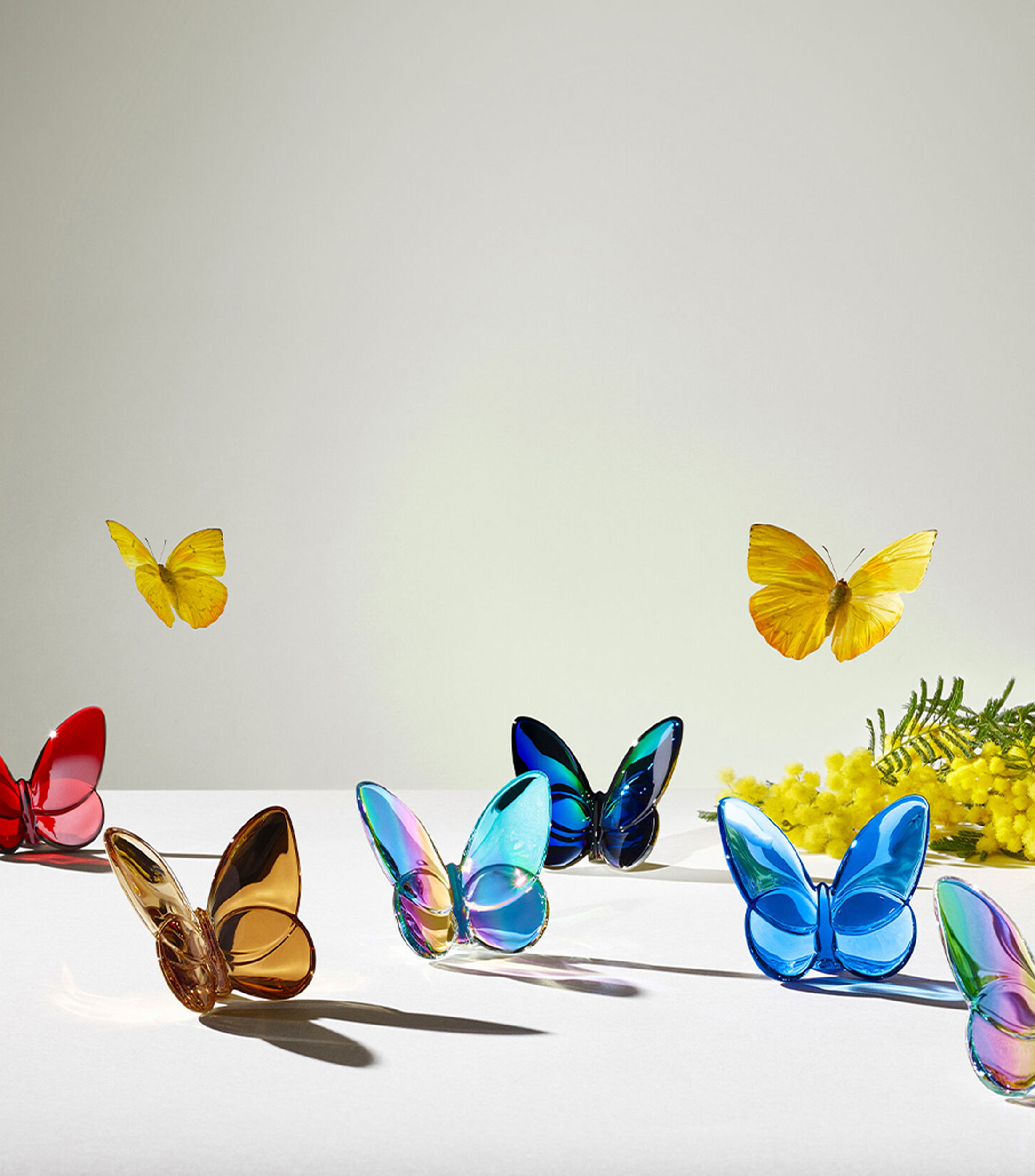 Figura Decorativa Papillon en cristal