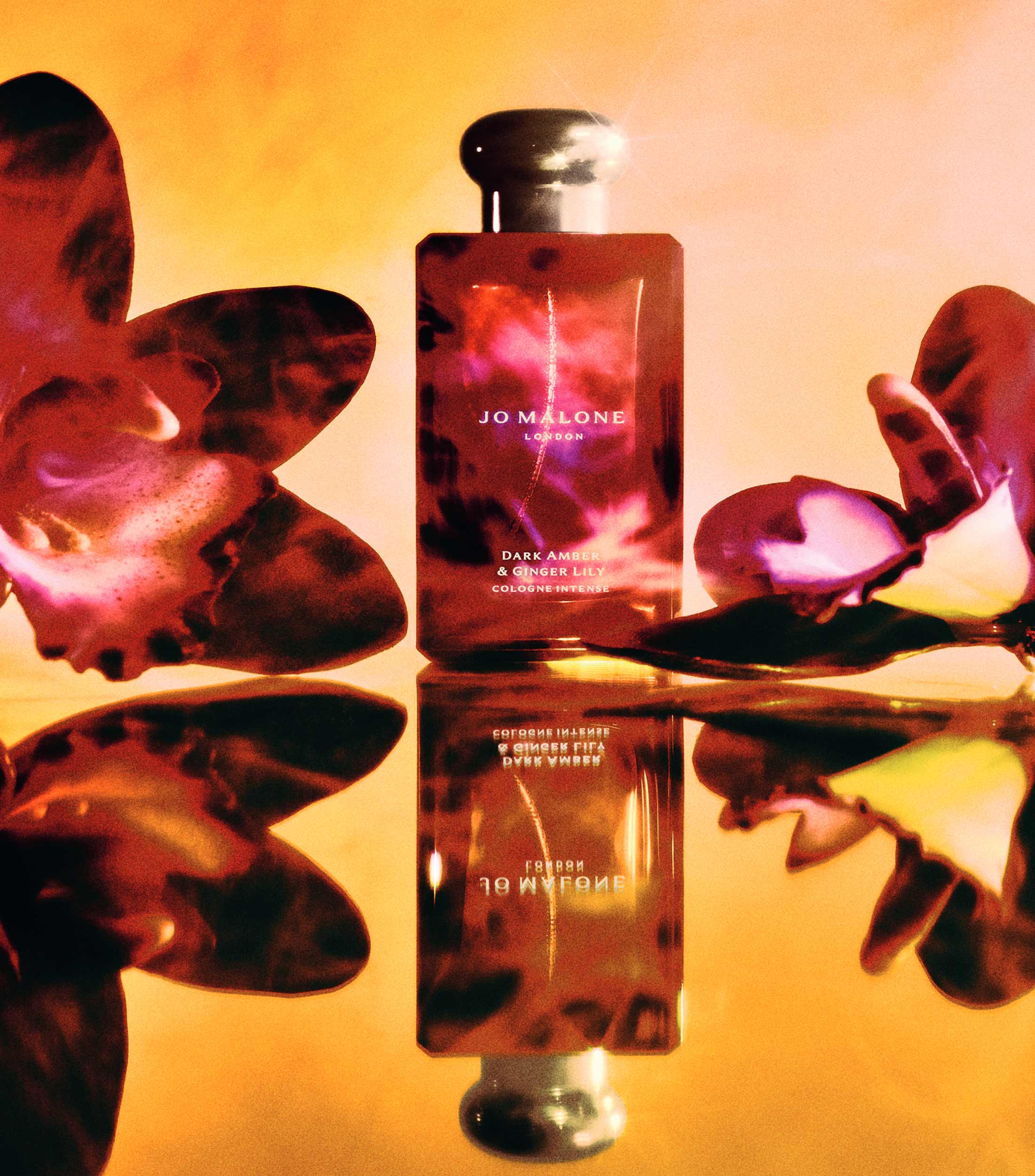 Perfume, Dark Amber amp Ginger Lily Eau de Cologne, 50 ml Unisex