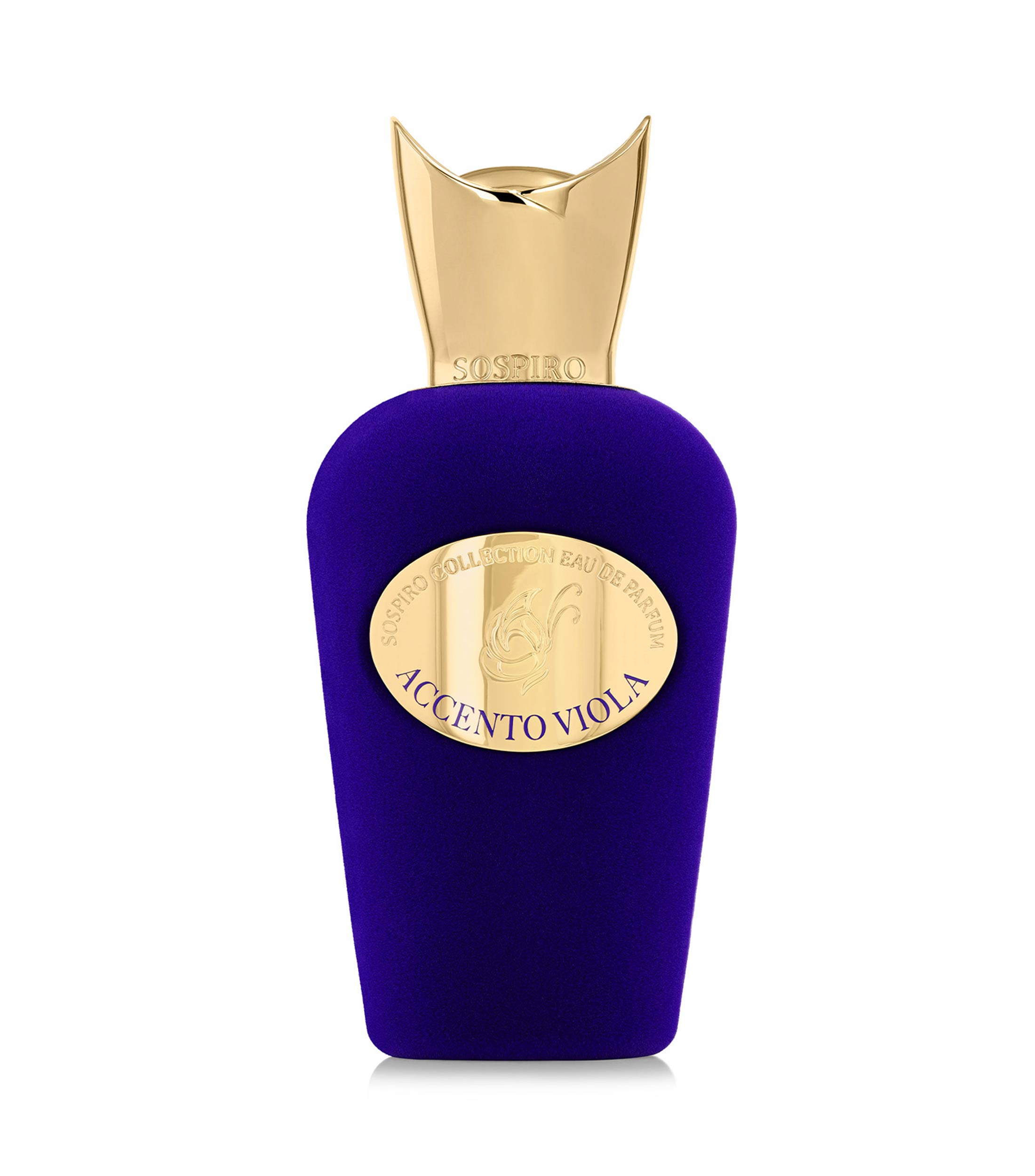 Perfume Accento Viola, Eau de Parfum 100 ml para Mujer