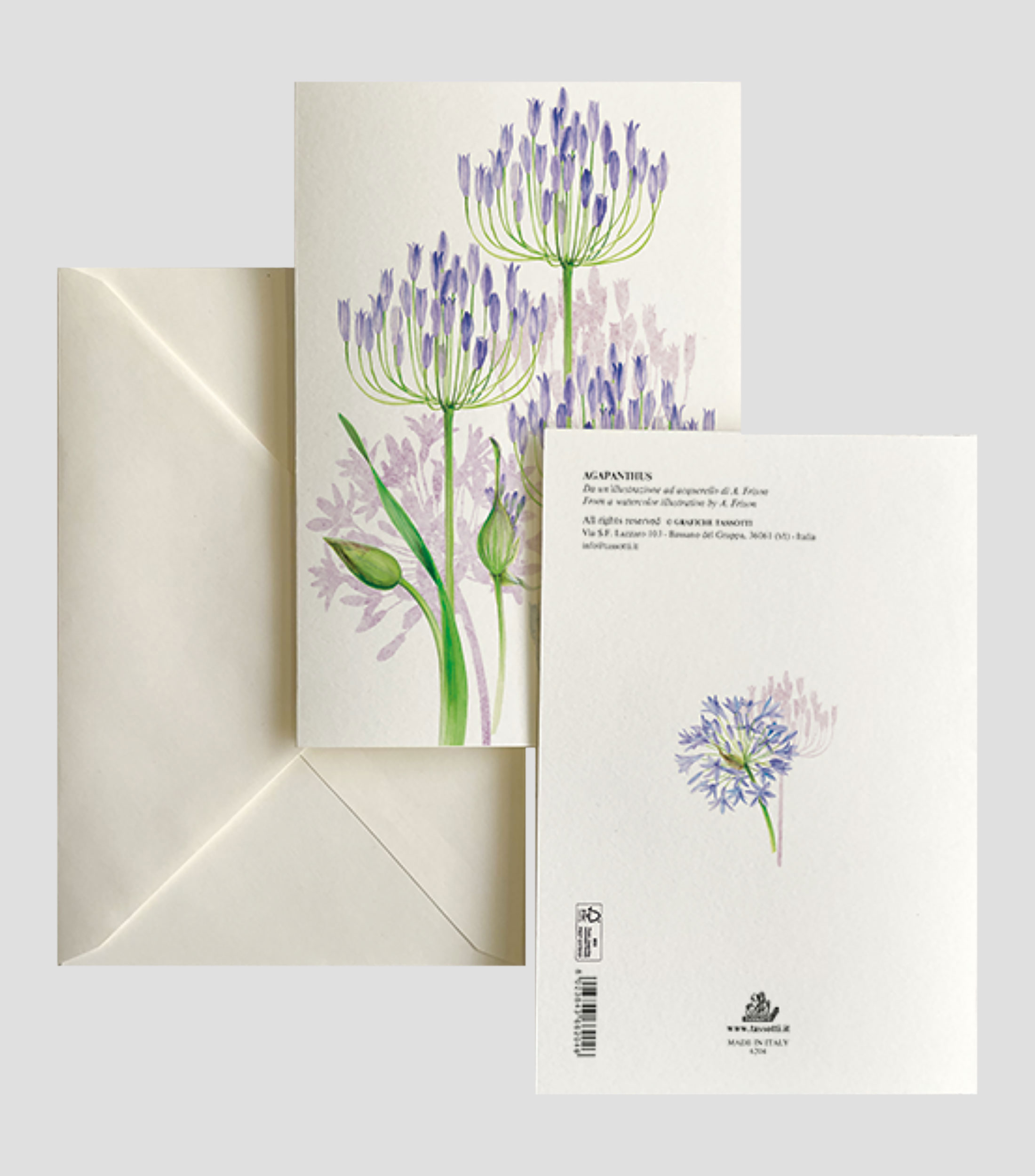 Tarjetas de Felicitación con Sobre - Lilas