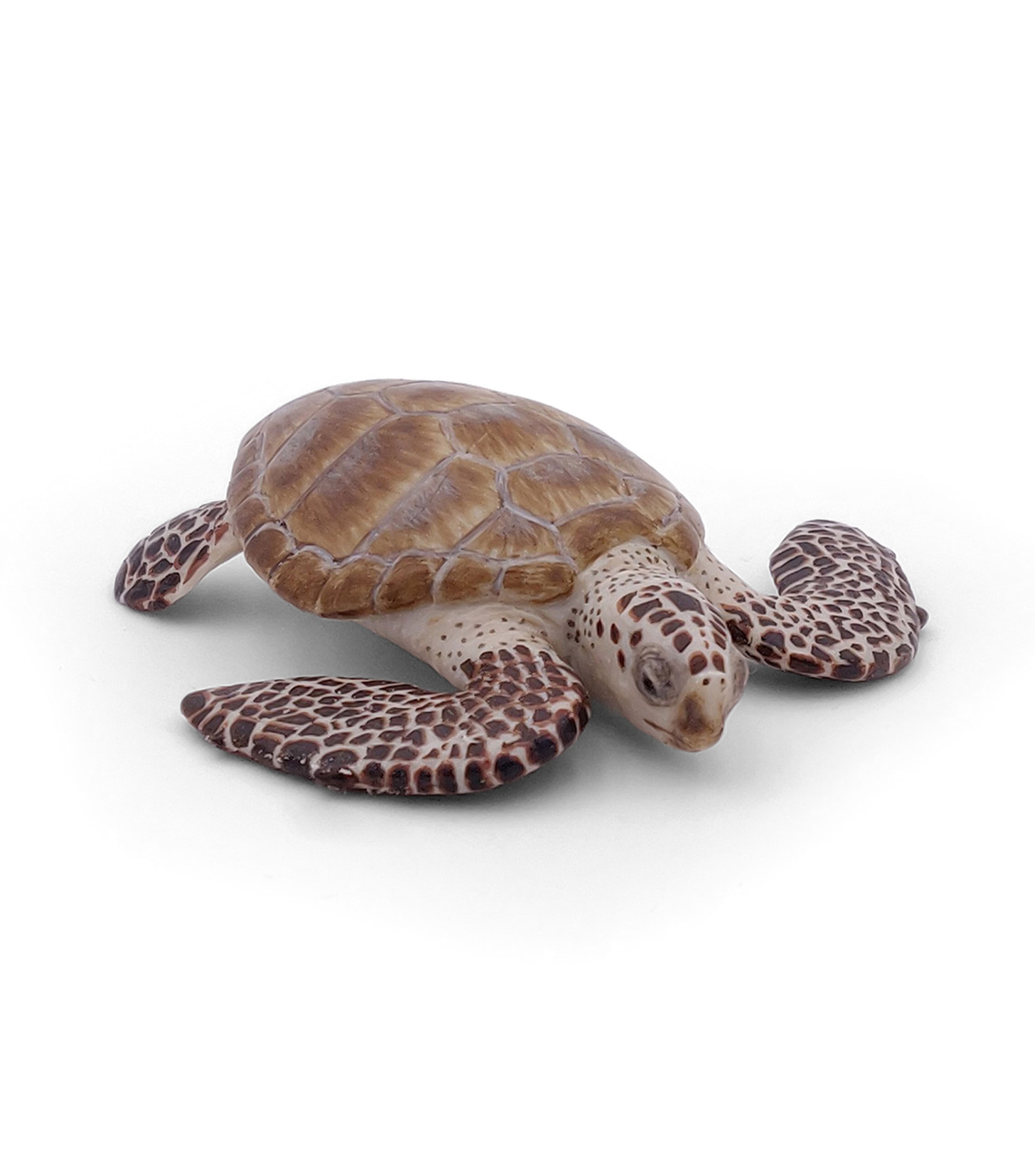 Figura de Tortuga Caguama