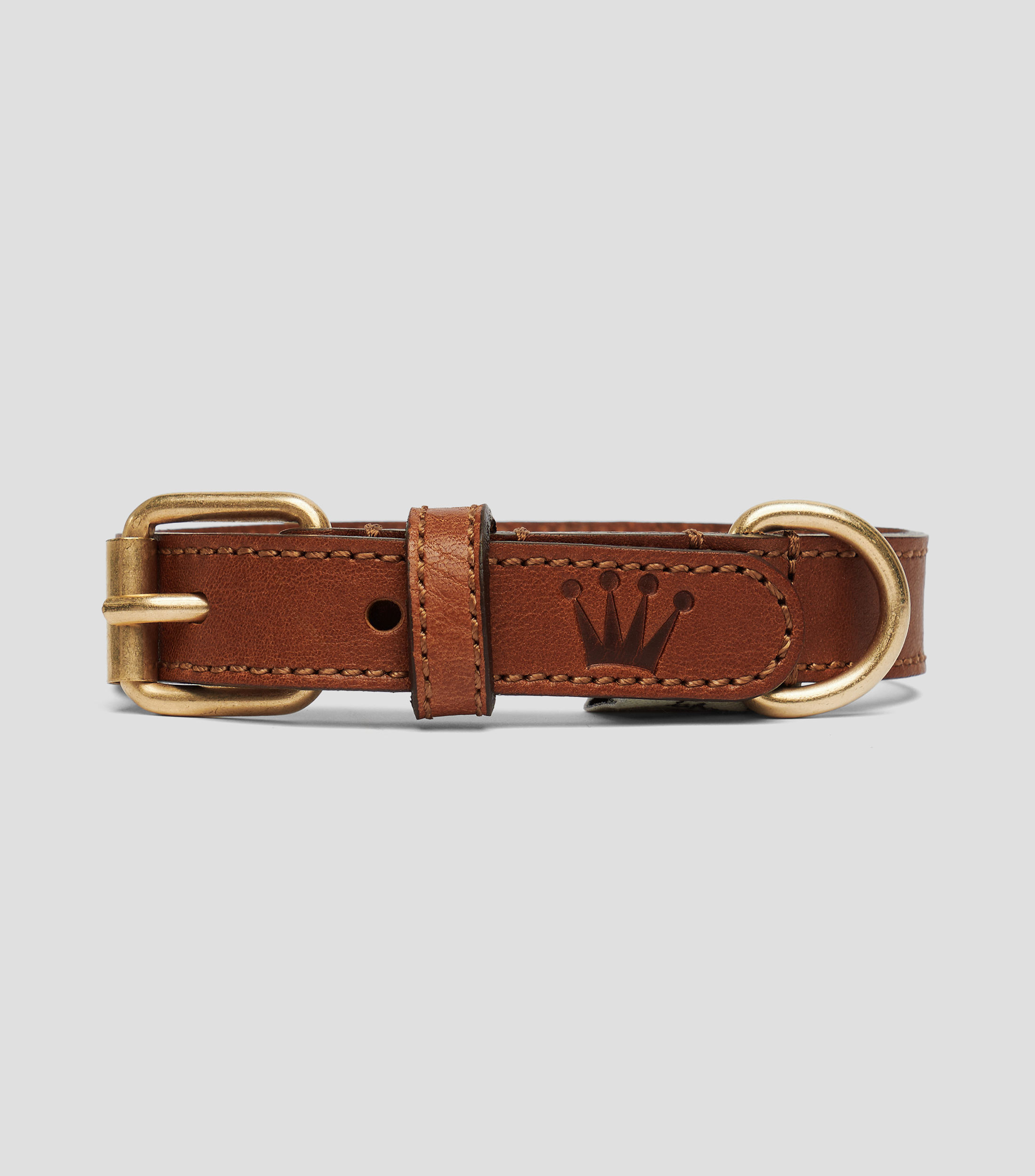 Collar para perro