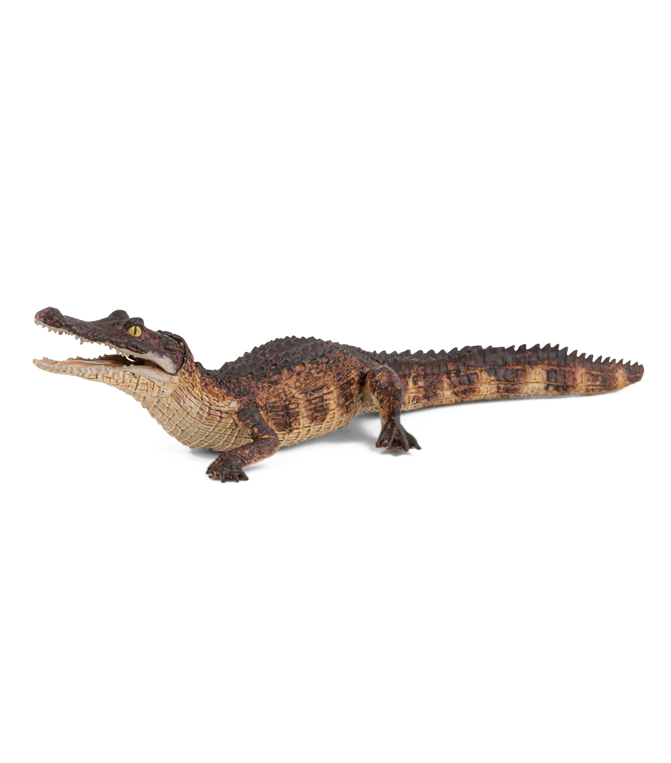 Figura de Caimán