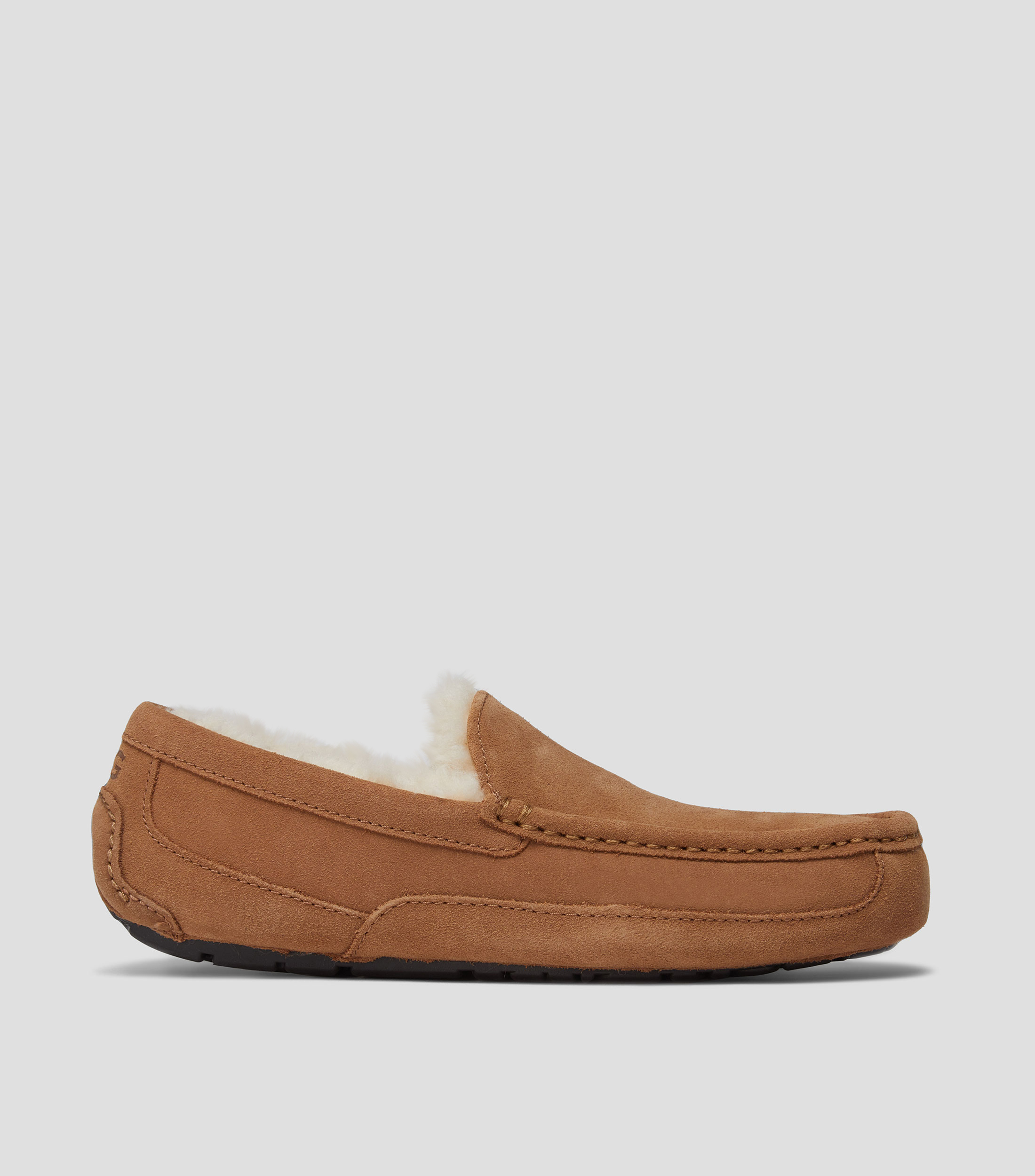 Pantuflas Ascot Hombre