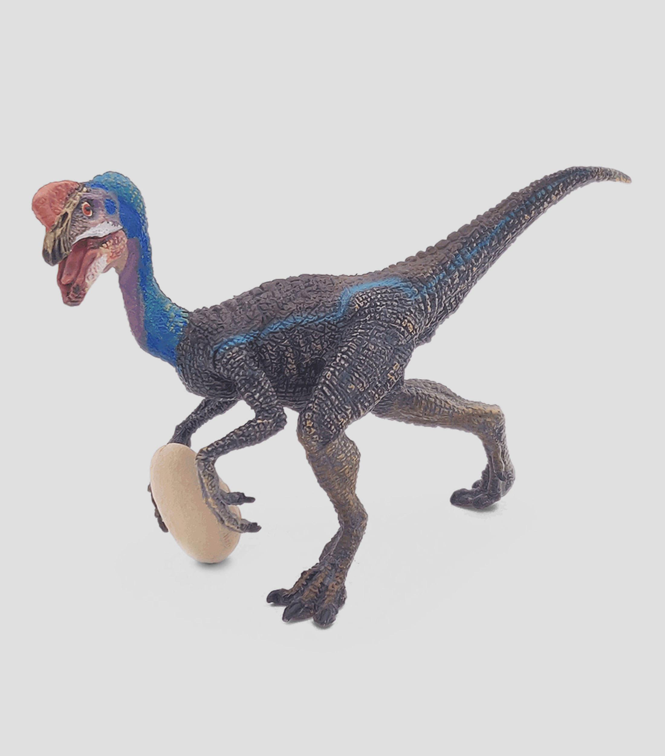 Oviraptor azul