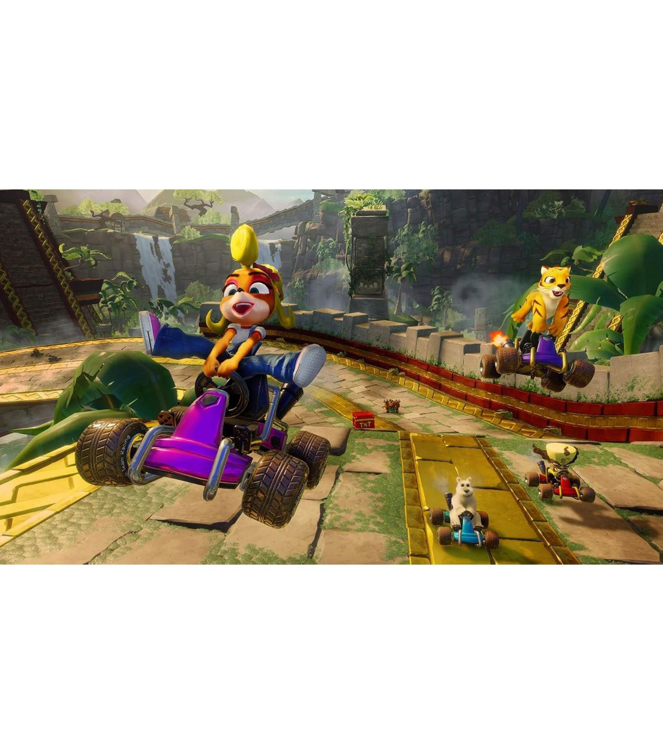 Crash Team Racing Nitro Fueled Nintendo Switch