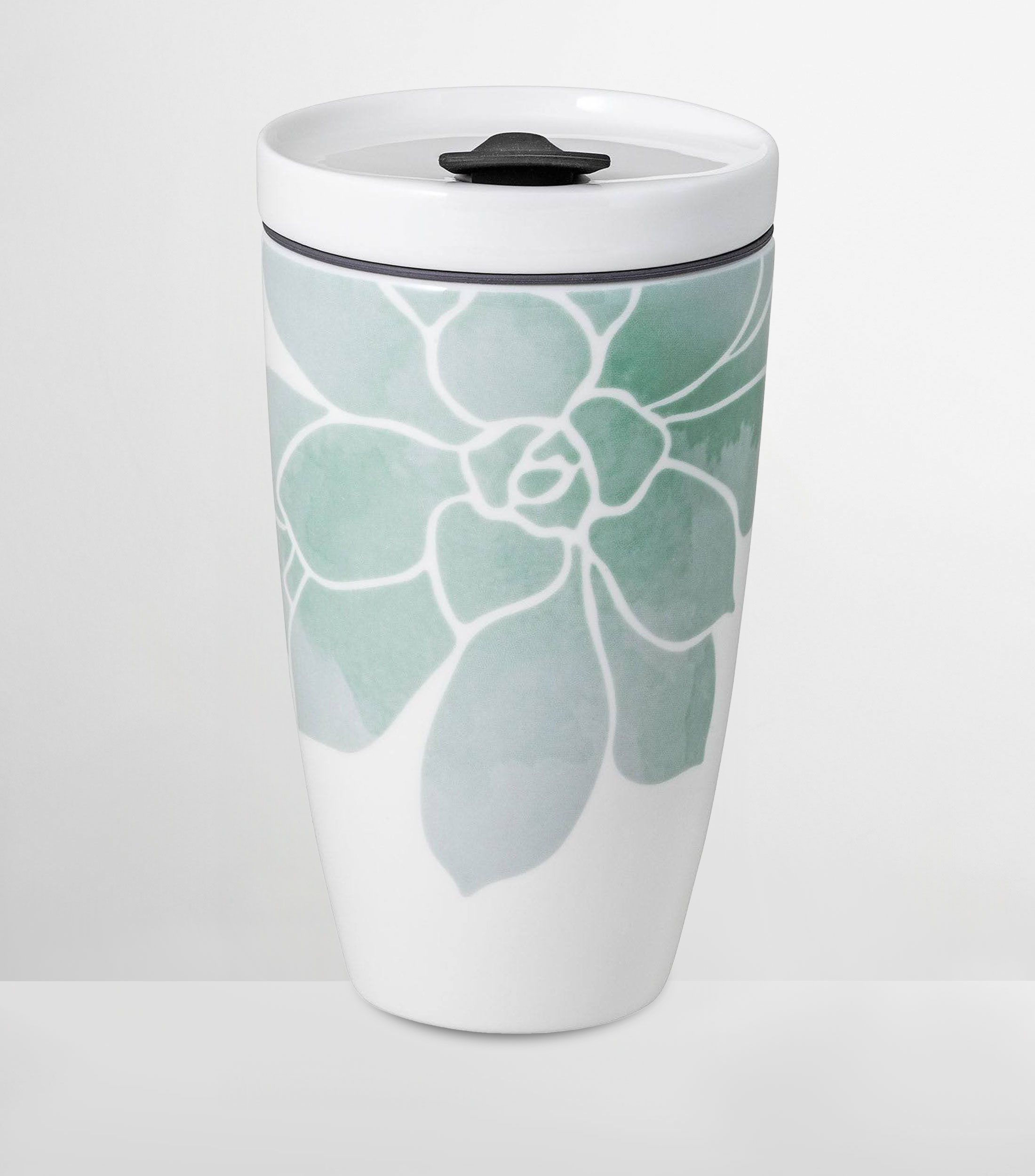 Coffee To Go Succulent