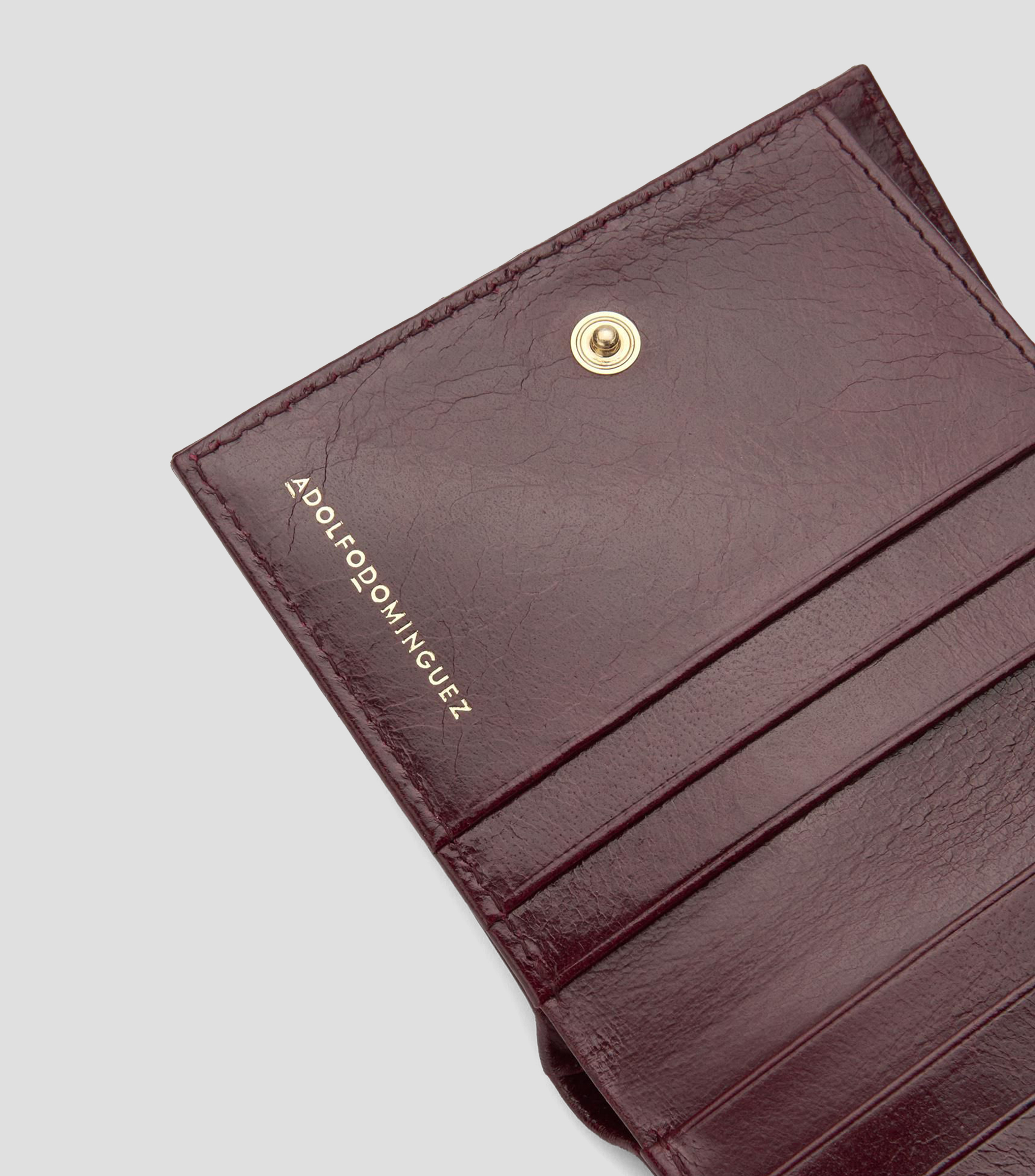 Cartera en piel liso Orión Mujer