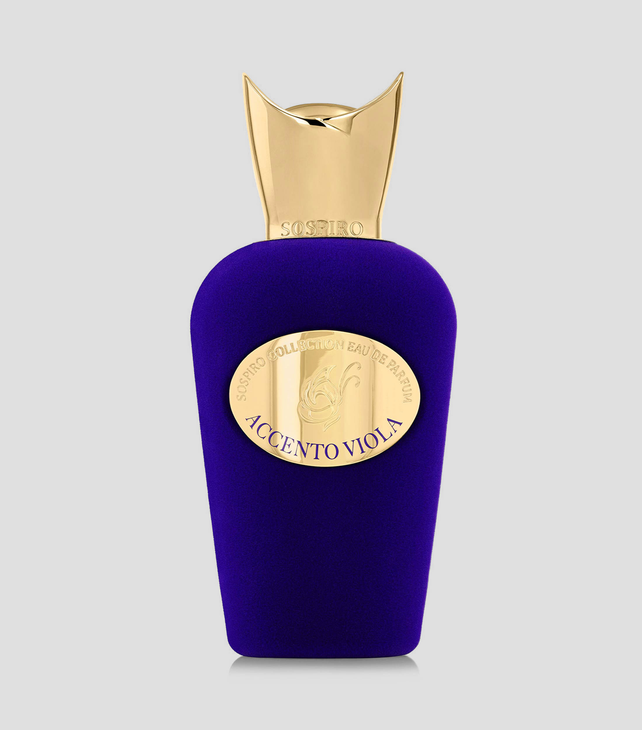 Perfume Accento Viola, Eau de Parfum 100 ml para Mujer