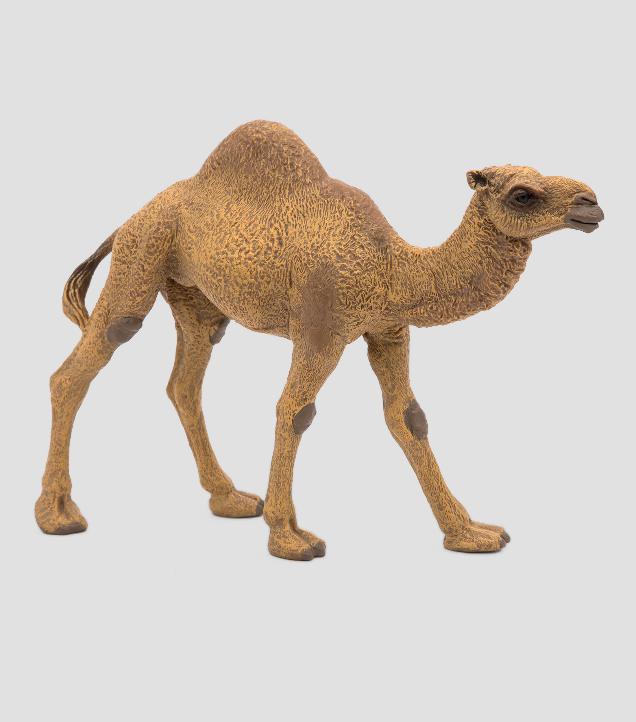 Figura Dromedario