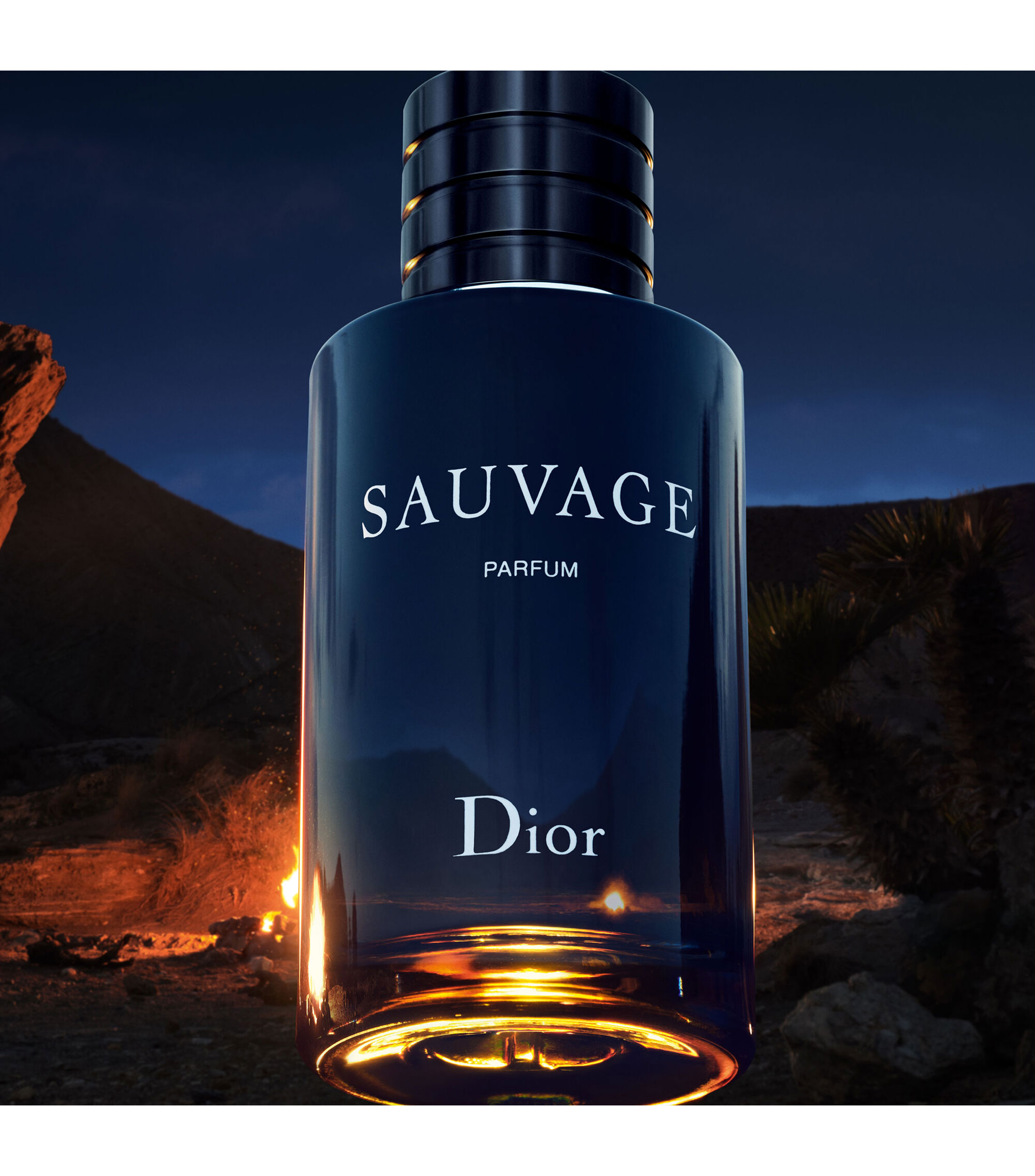 SAUVAGE, PARFUM, 200 ml
