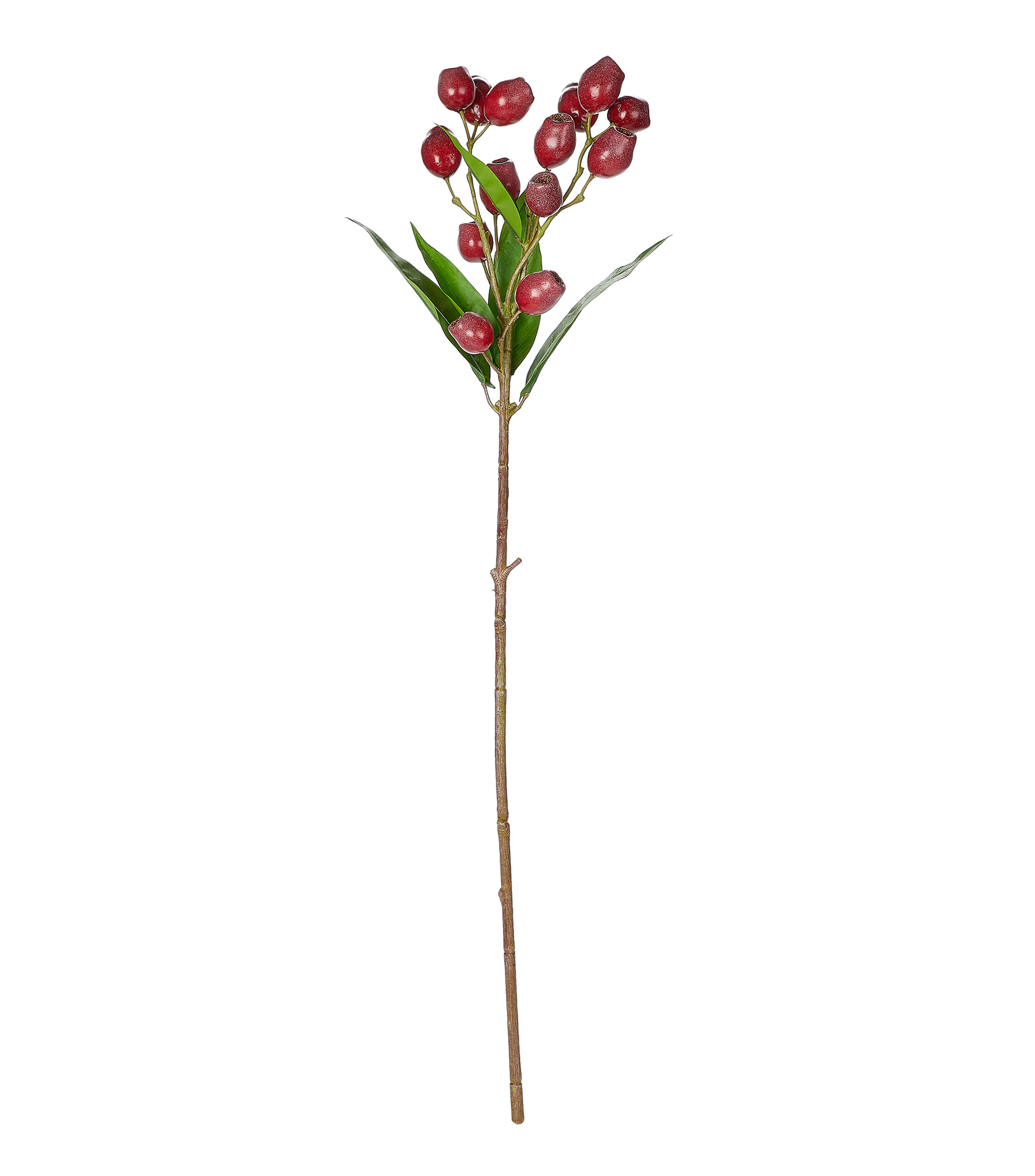 Rama De Berry Rojo