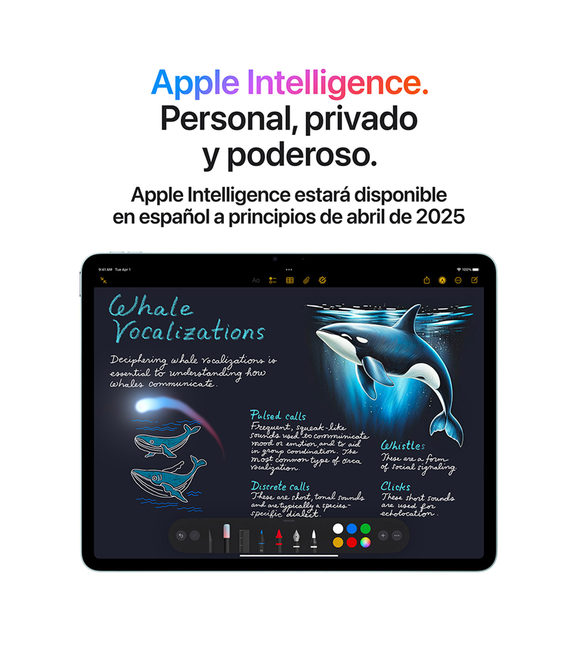 iPad Air 13, Chip M3, RAM 8 GB, 256 GB Space Grey