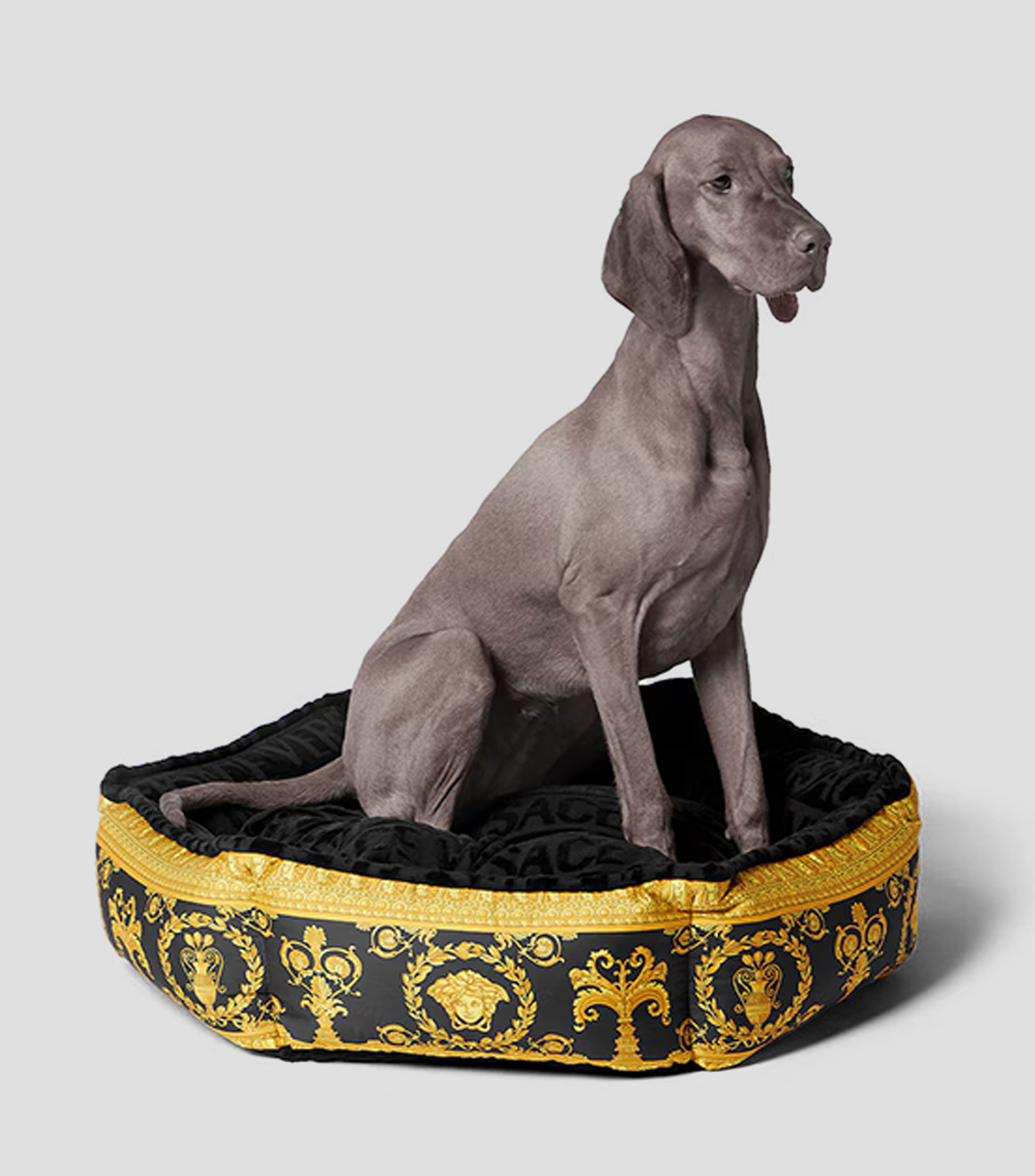 Cama para perro I Heart Baroque negro