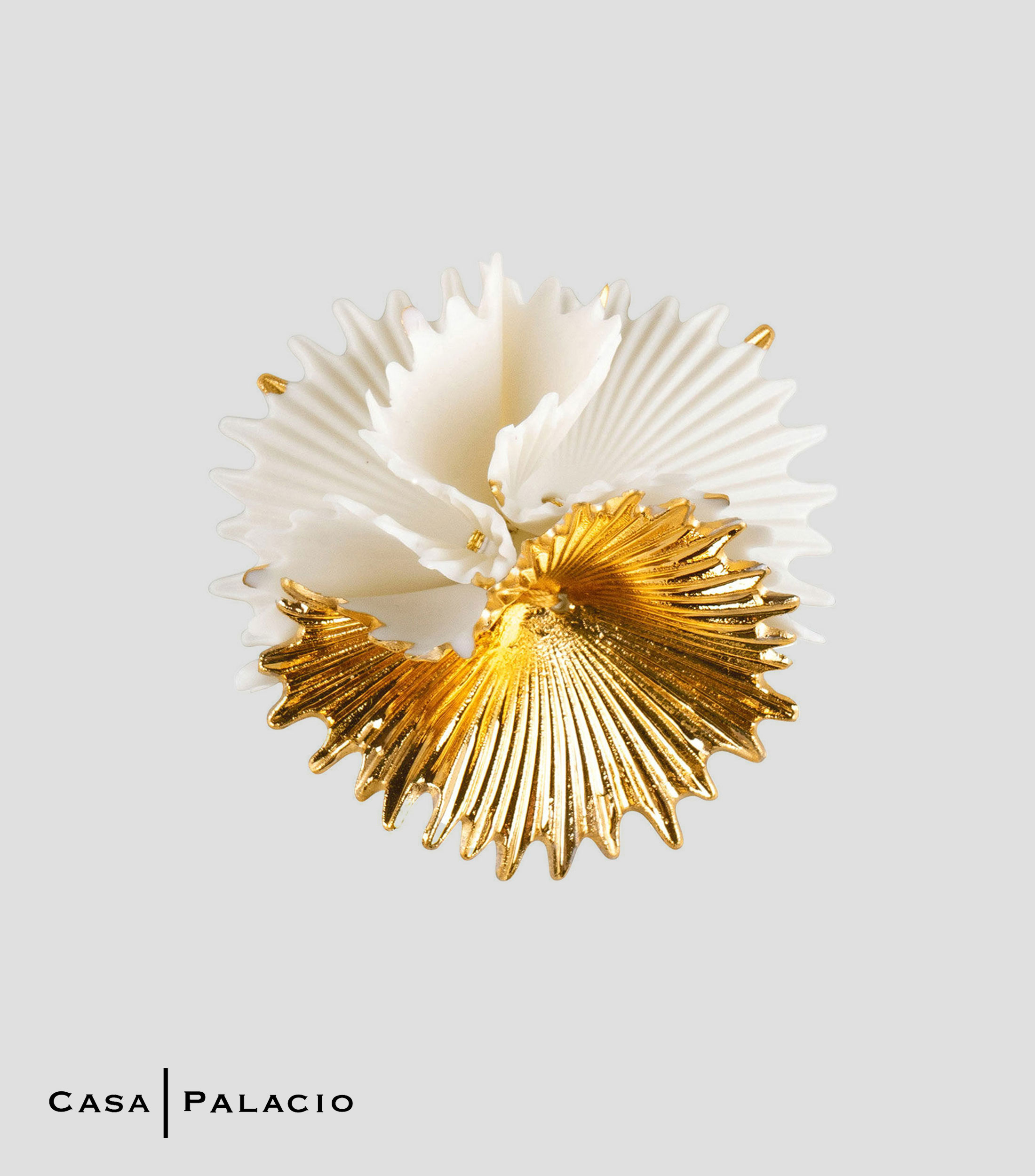 Pin Actinia Mujer
