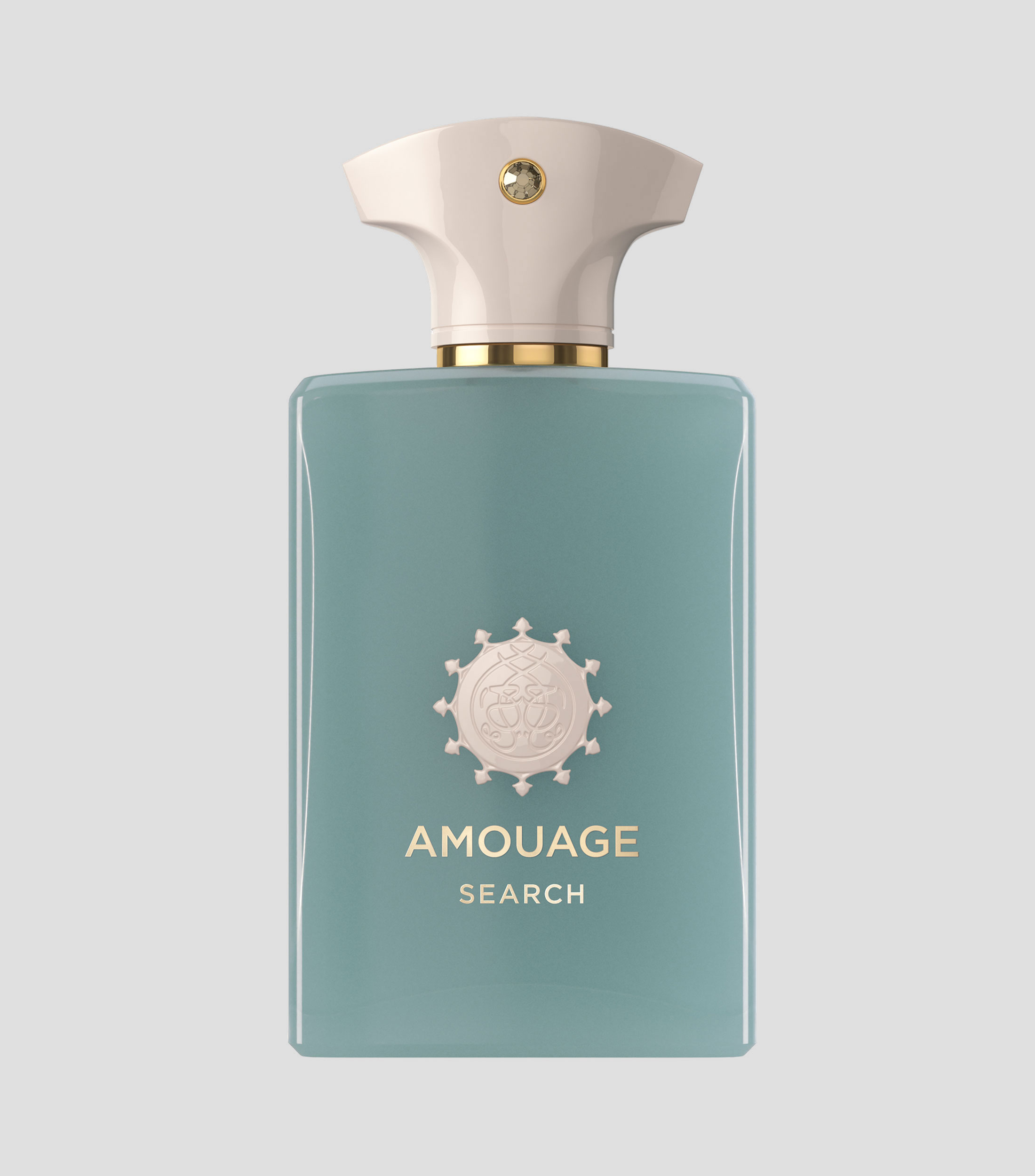 Perfume Search Eau de Parfum, 100 ml Unisex
