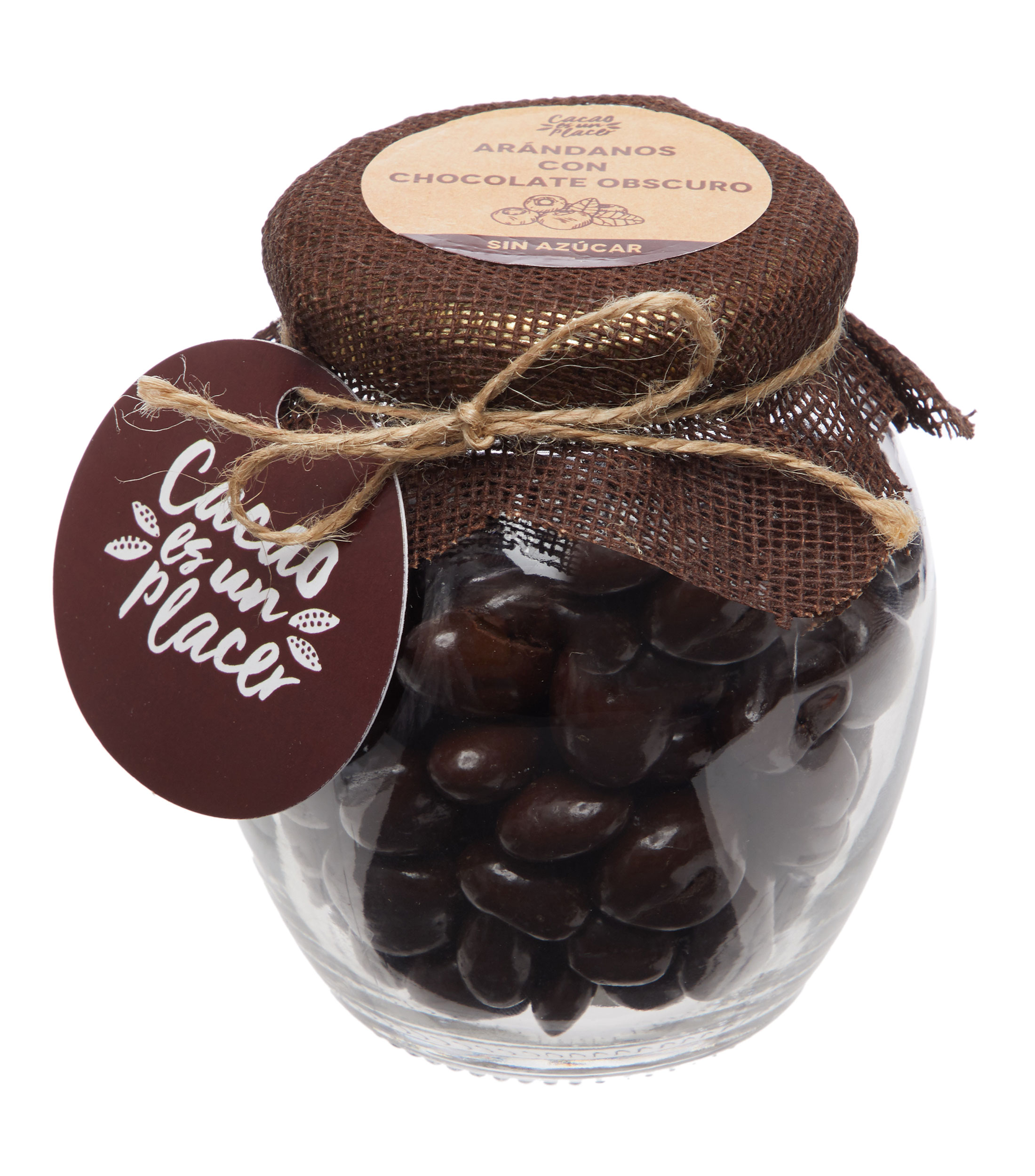 Botana de Arándanos con Chocolate Obscuro, 225 g