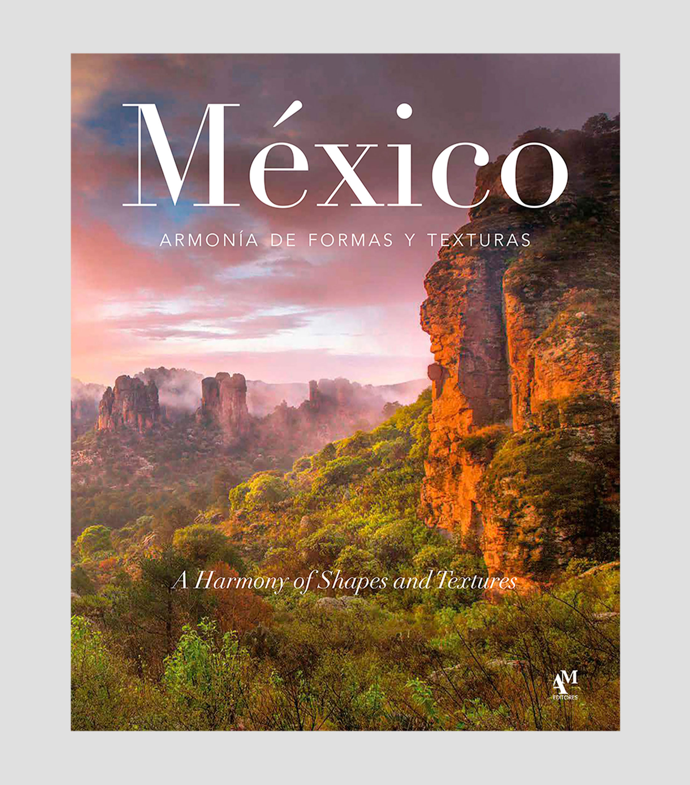 Arte Y RecreaciónMéxico: Armonía de formas y texturas, Omar Fuentes Elizondo