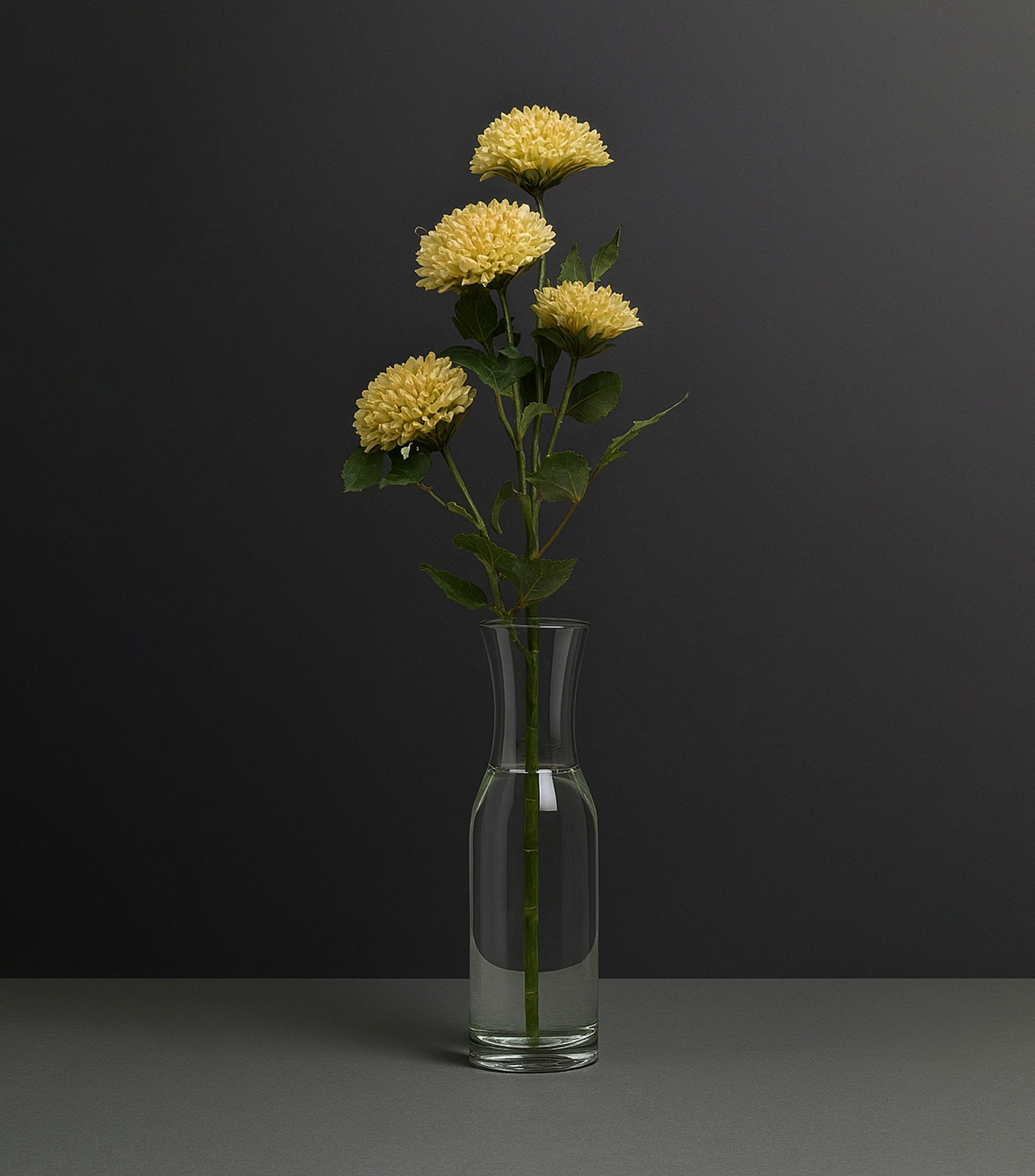 Flor Scabiosa en polietileno
