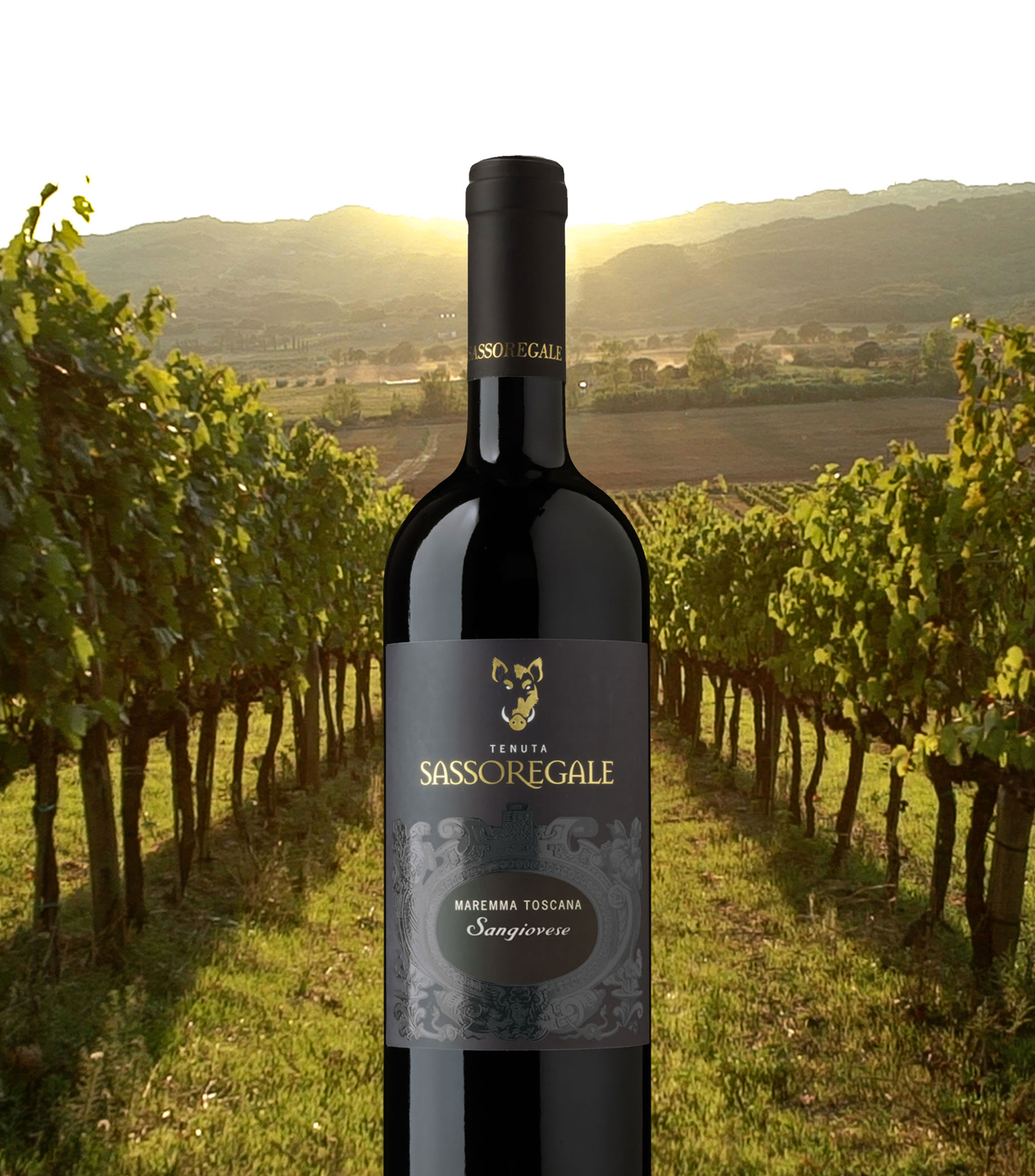 Vino Tinto Sangiovese, Italia, 750 ml