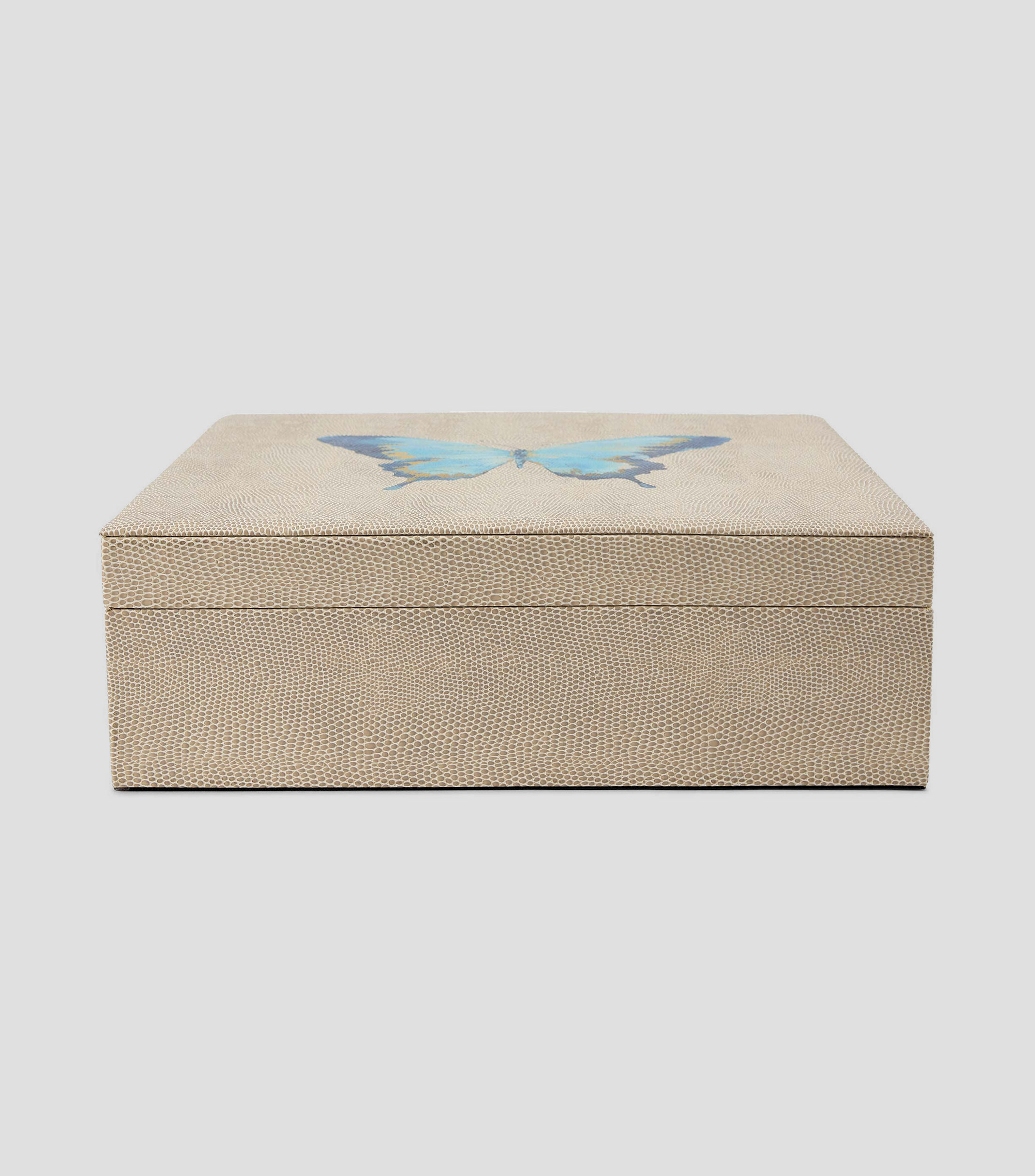 Caja Decorativa con Mariposa