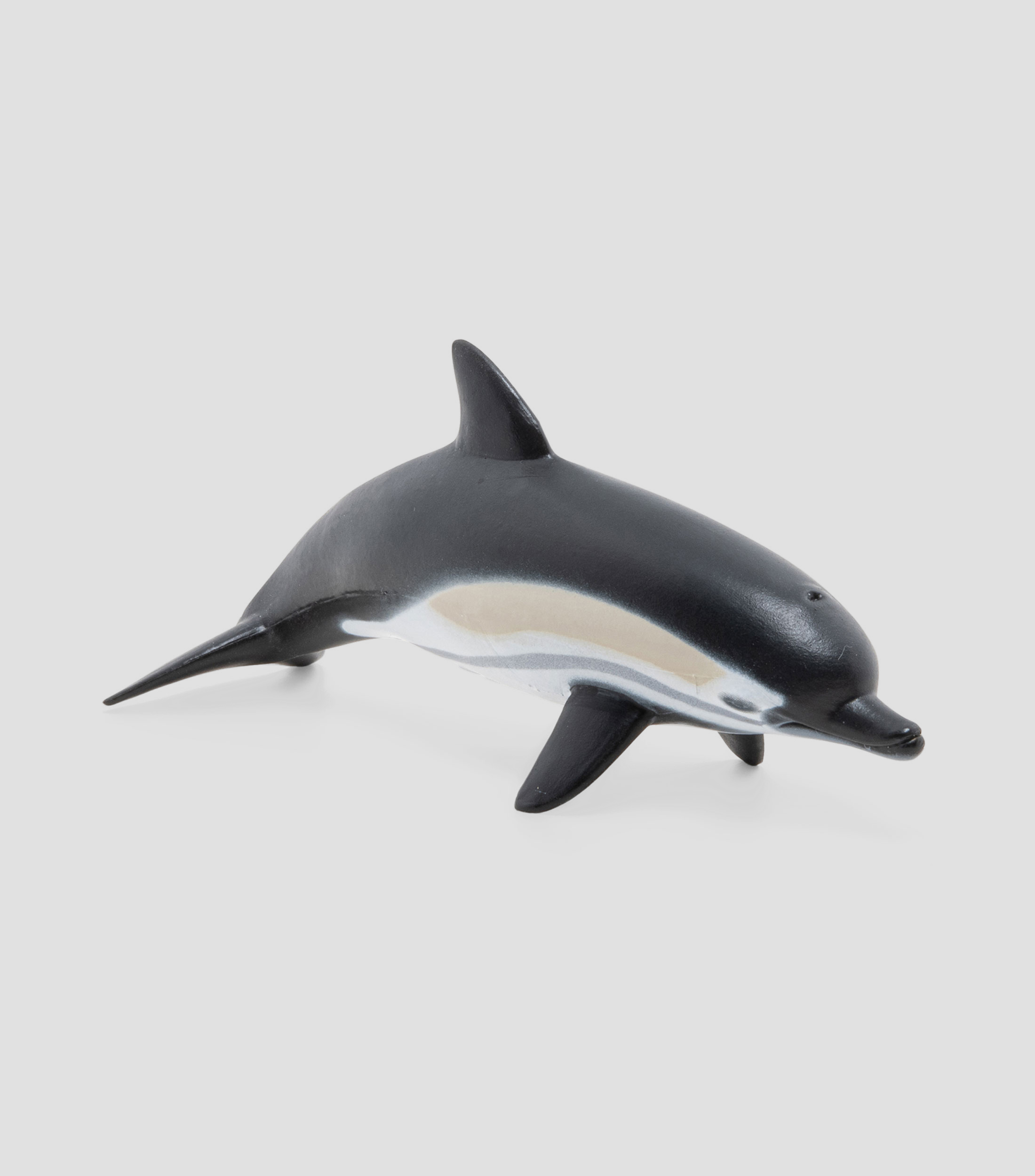 Delfin comun