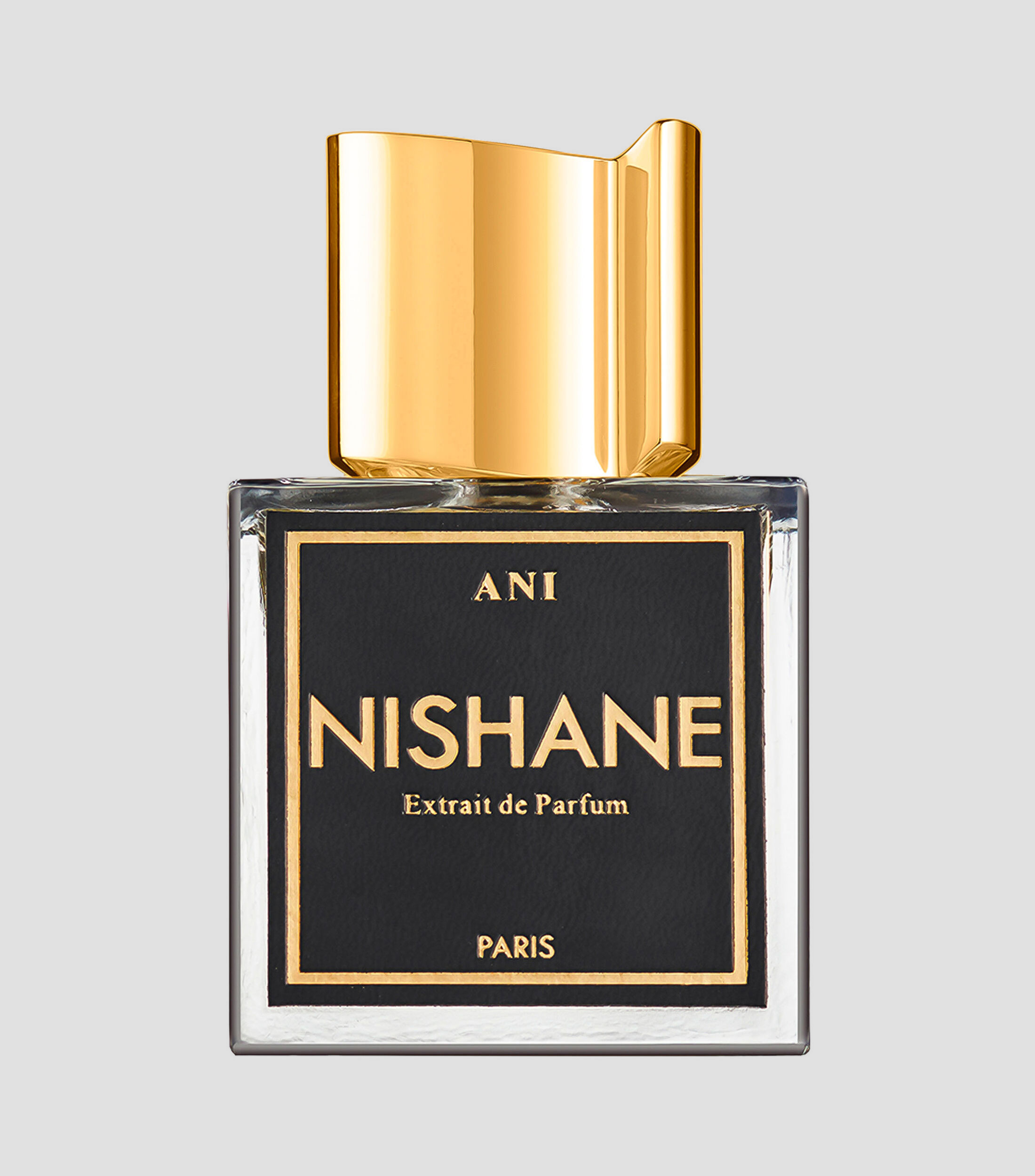 Perfume, Ani Extrait de Parfum, 100 ml Unisex