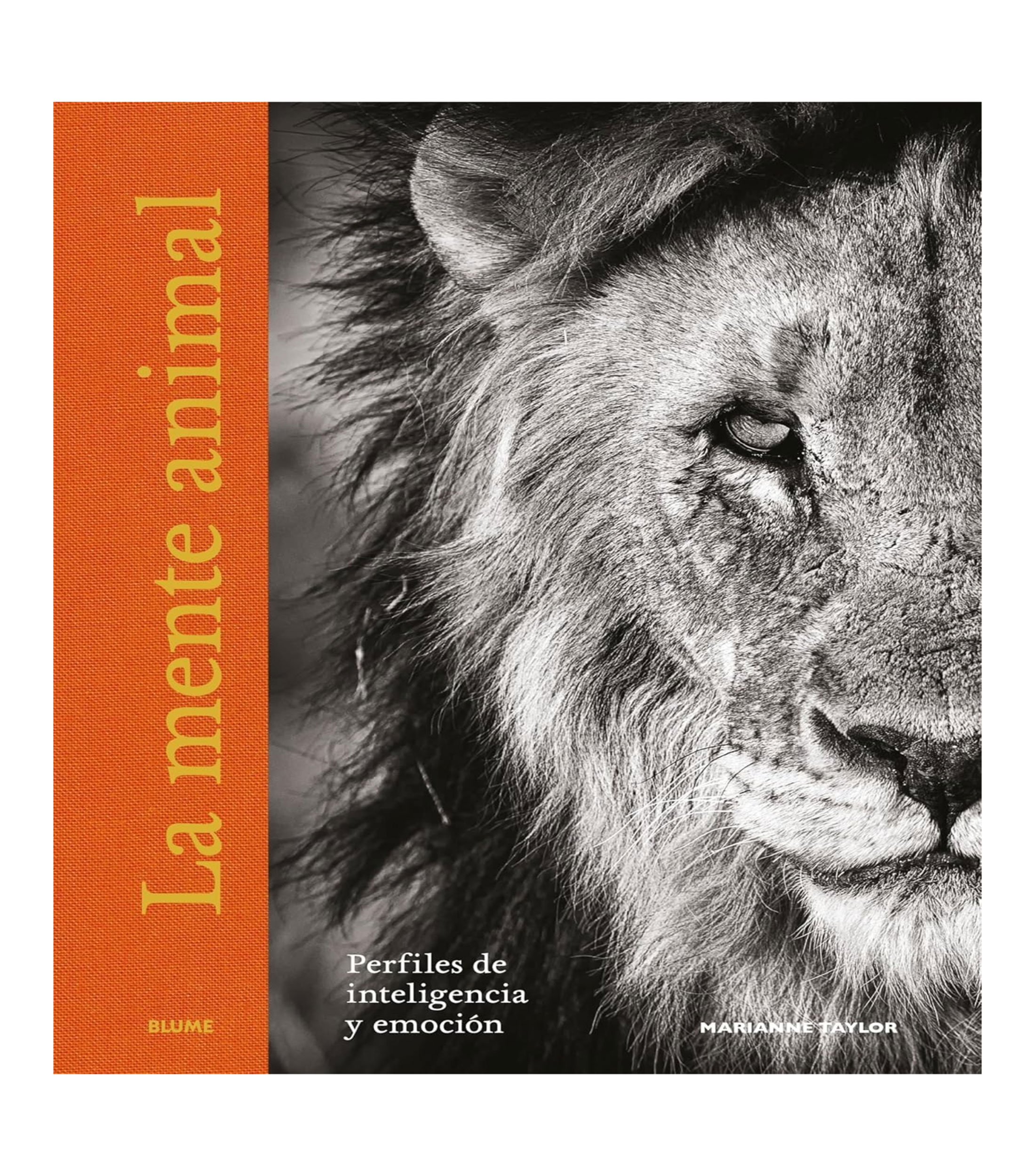 Arte Y RecreaciónLa mente animal, Marianne Taylor