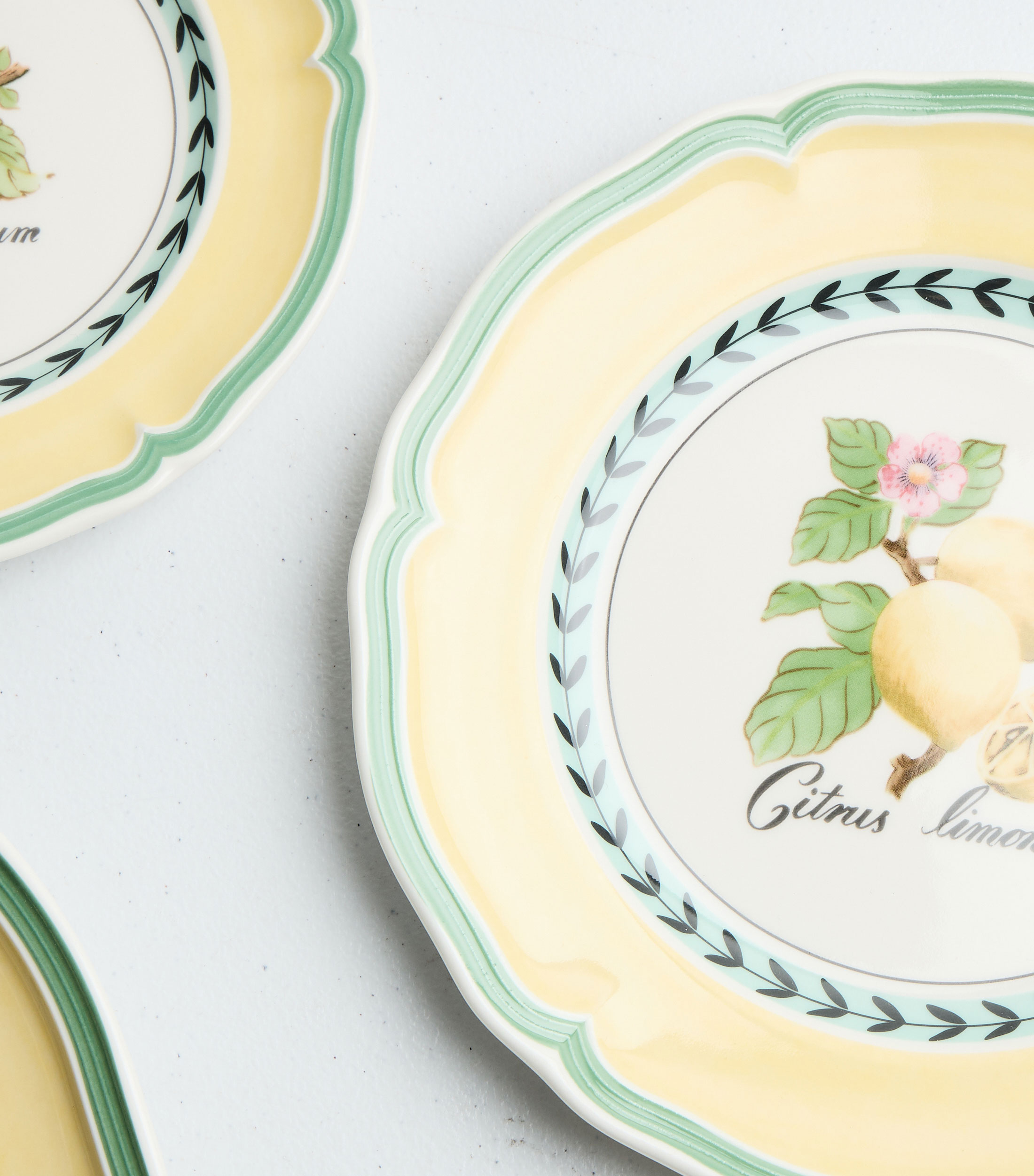 Plato para Postre French Garden Valence con frutos
