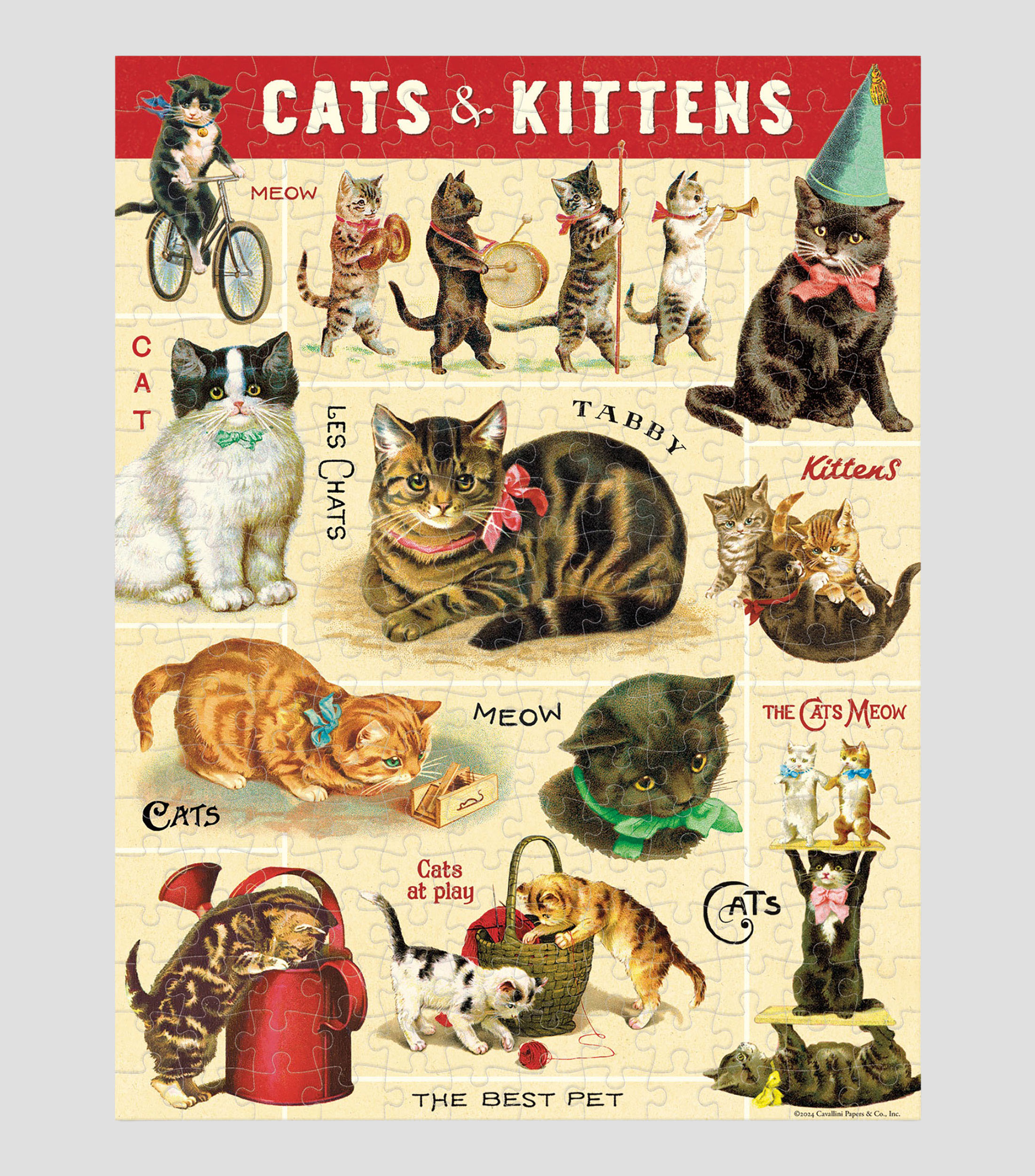 Rompecabezas Mini Cat 240 Piezas
