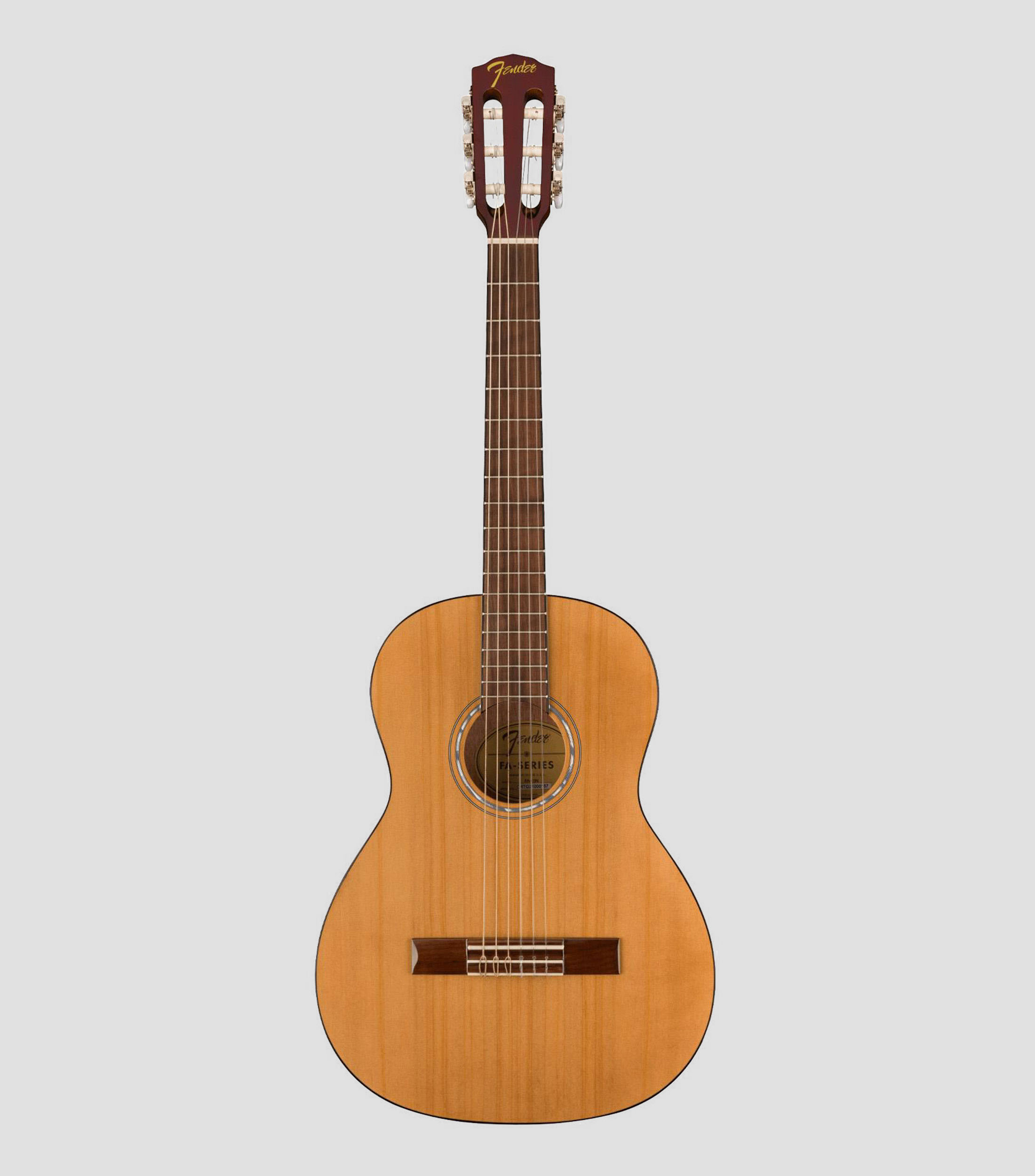 Guitarra Acústica Starter Pack FA15N