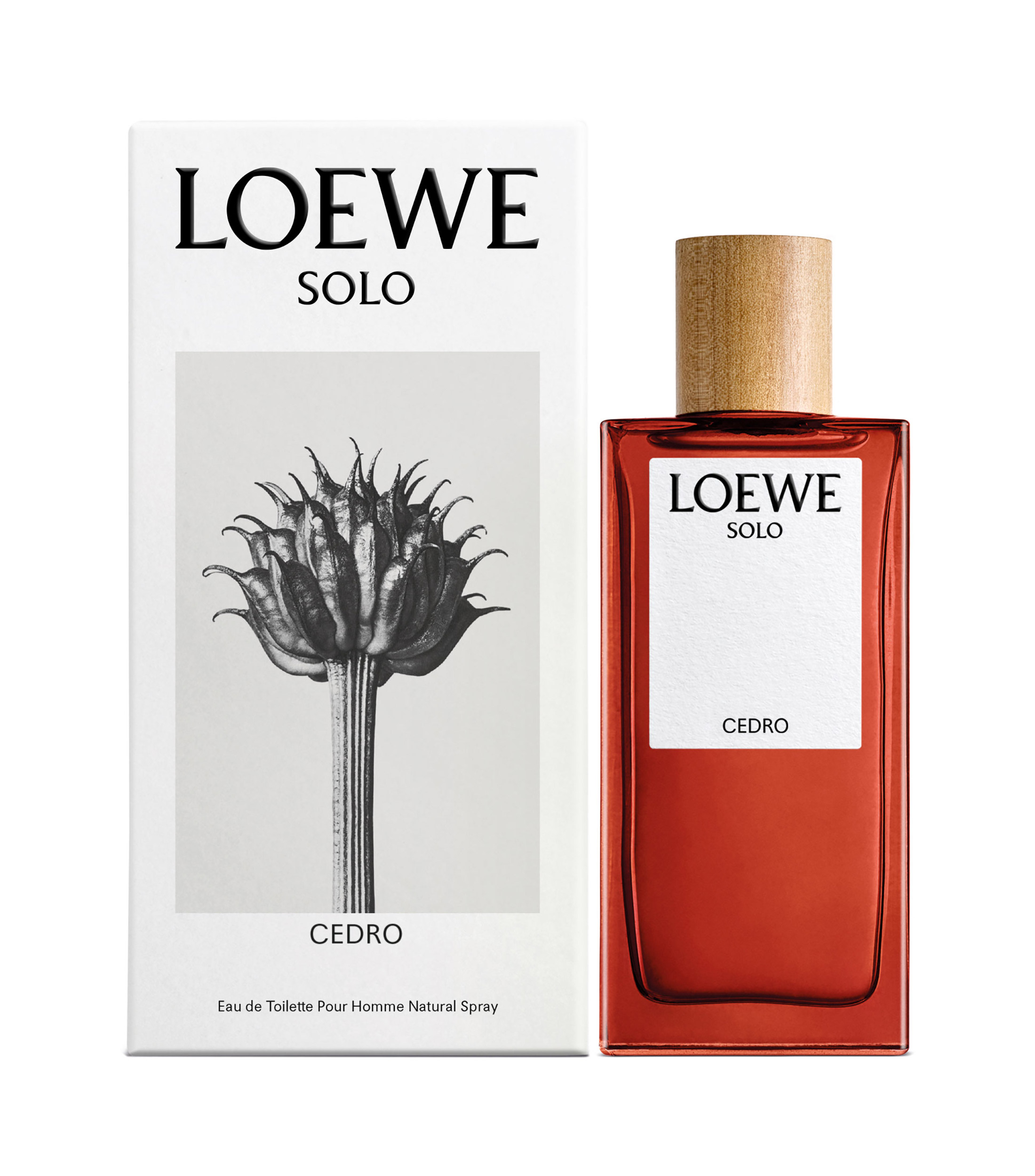 LOEWE SOLO CEDRO 100 ML
