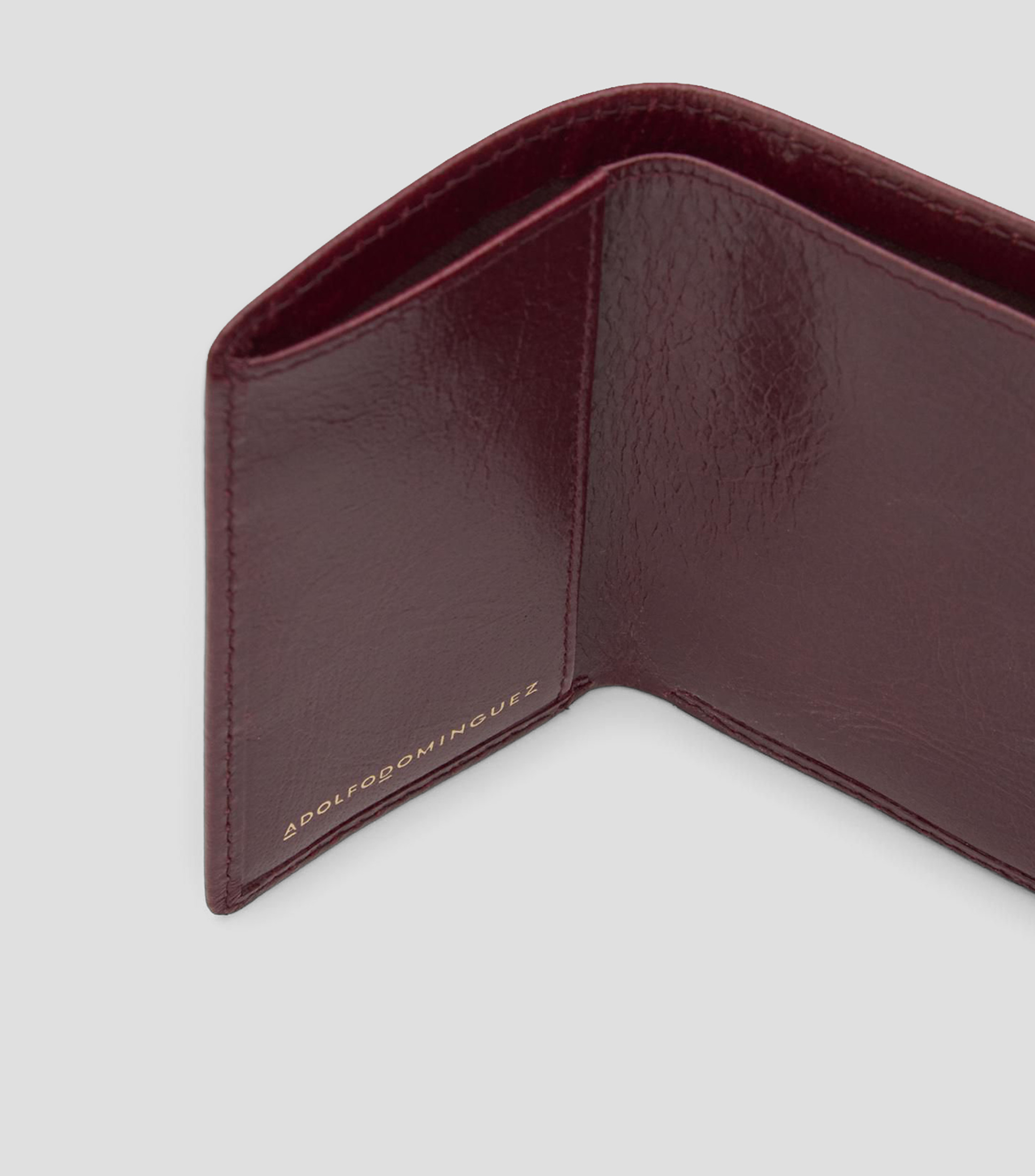 Cartera en piel liso Orión Mujer