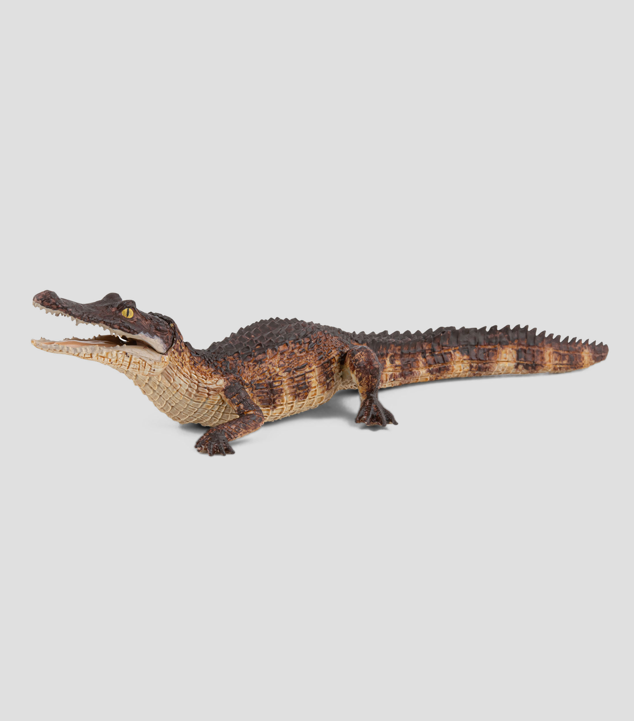 Figura de Caiman
