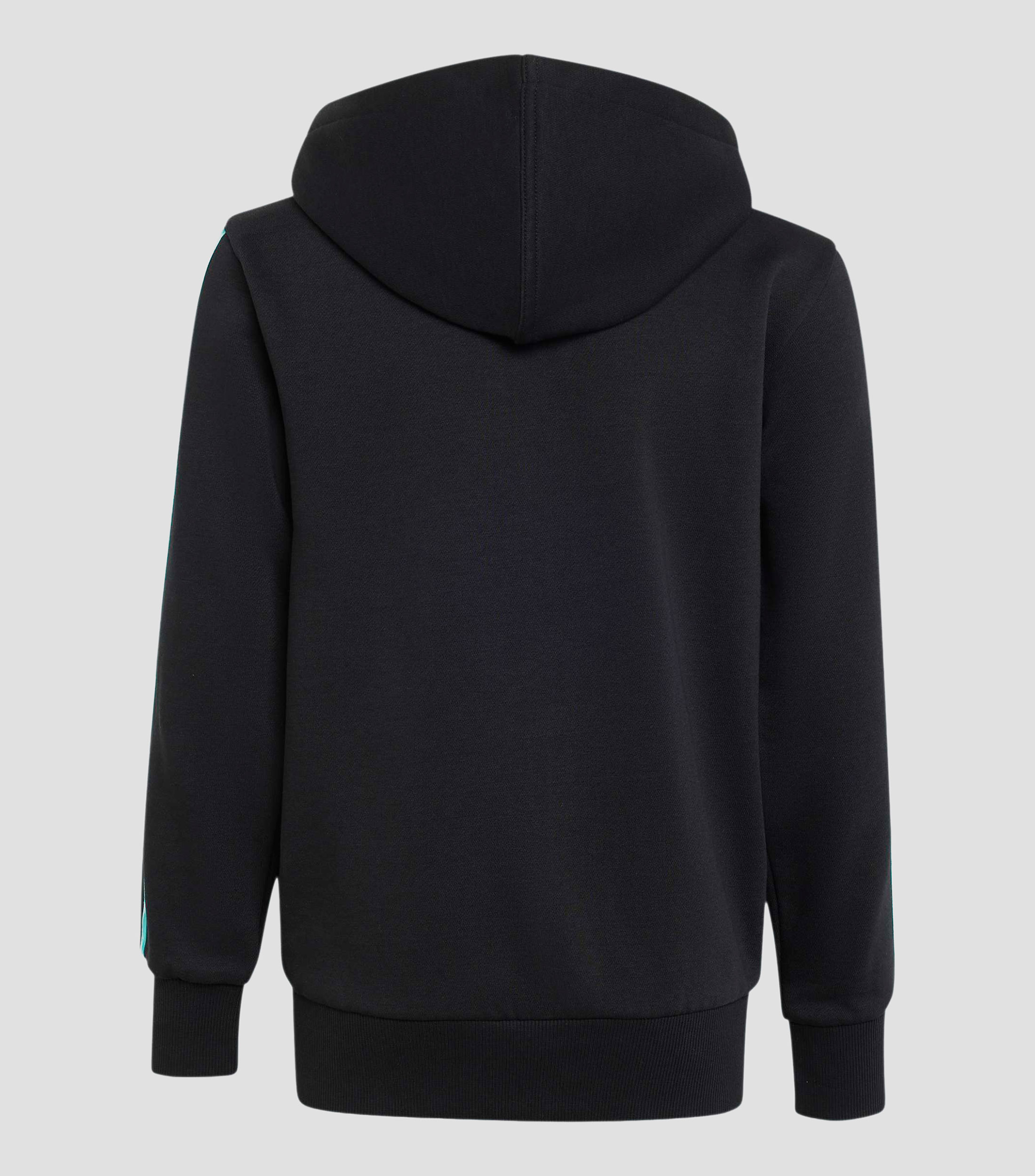 Sudadera casual Mercedes AMG Petronas Motorsport Niño