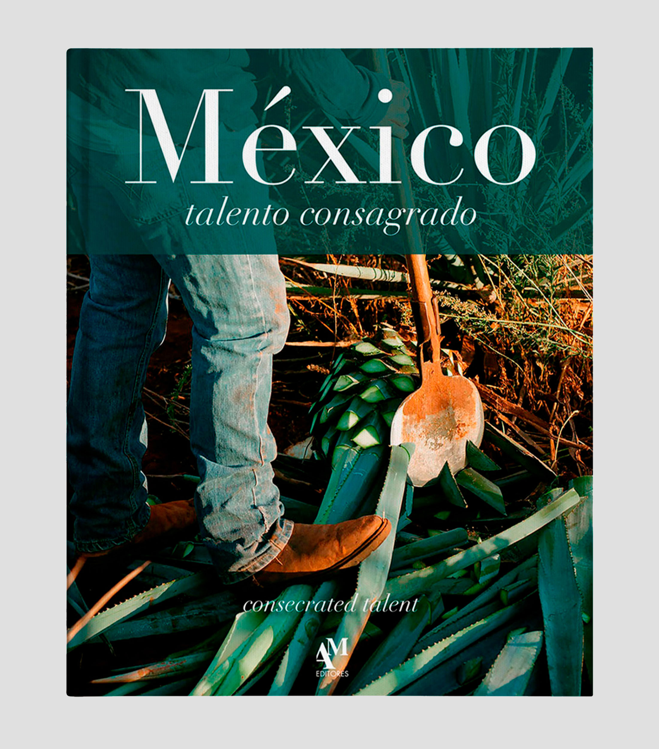 Arte Y RecreaciónMéxico talento consagrado, Omar Fuentes Elizondo